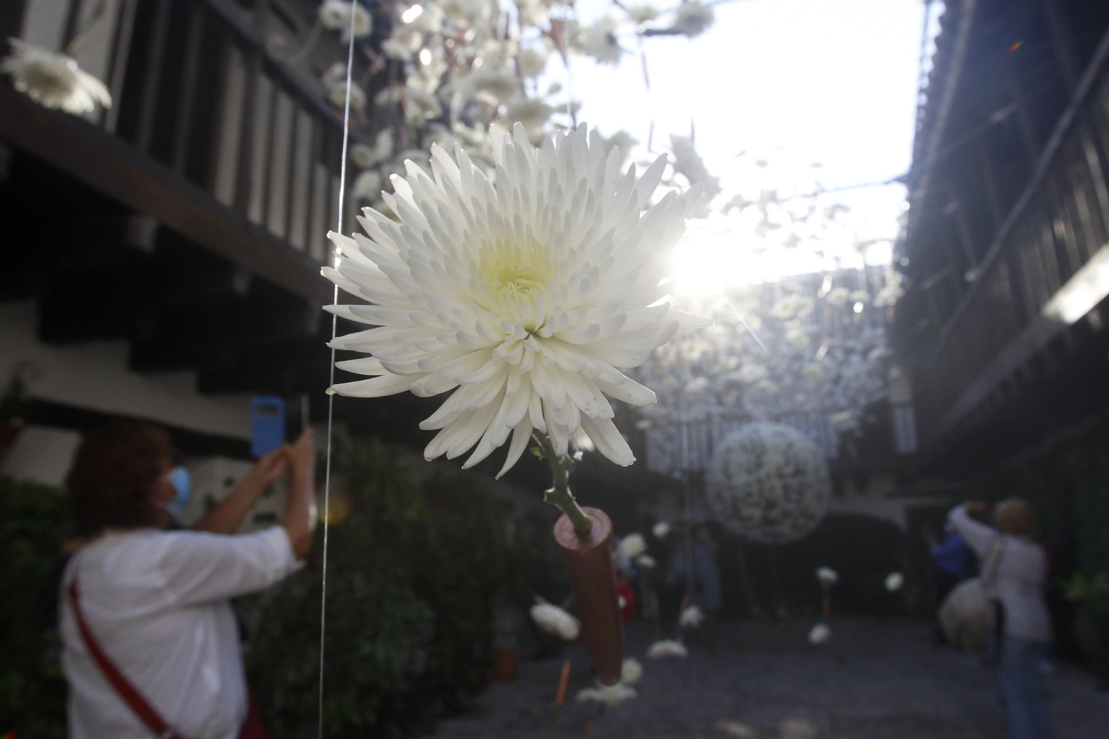 El Festival Internacional de las Flores, Flora, en fotografías