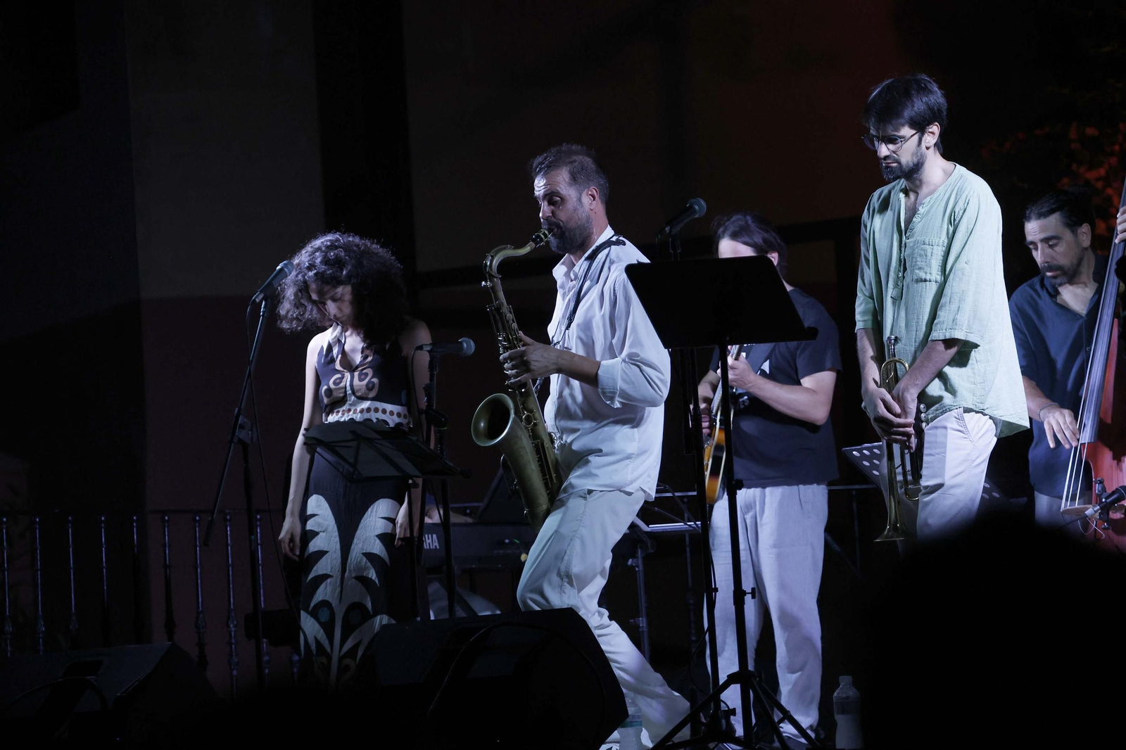 Fotos del concierto La Línea Noche de Jazz de la Noche en Blanco