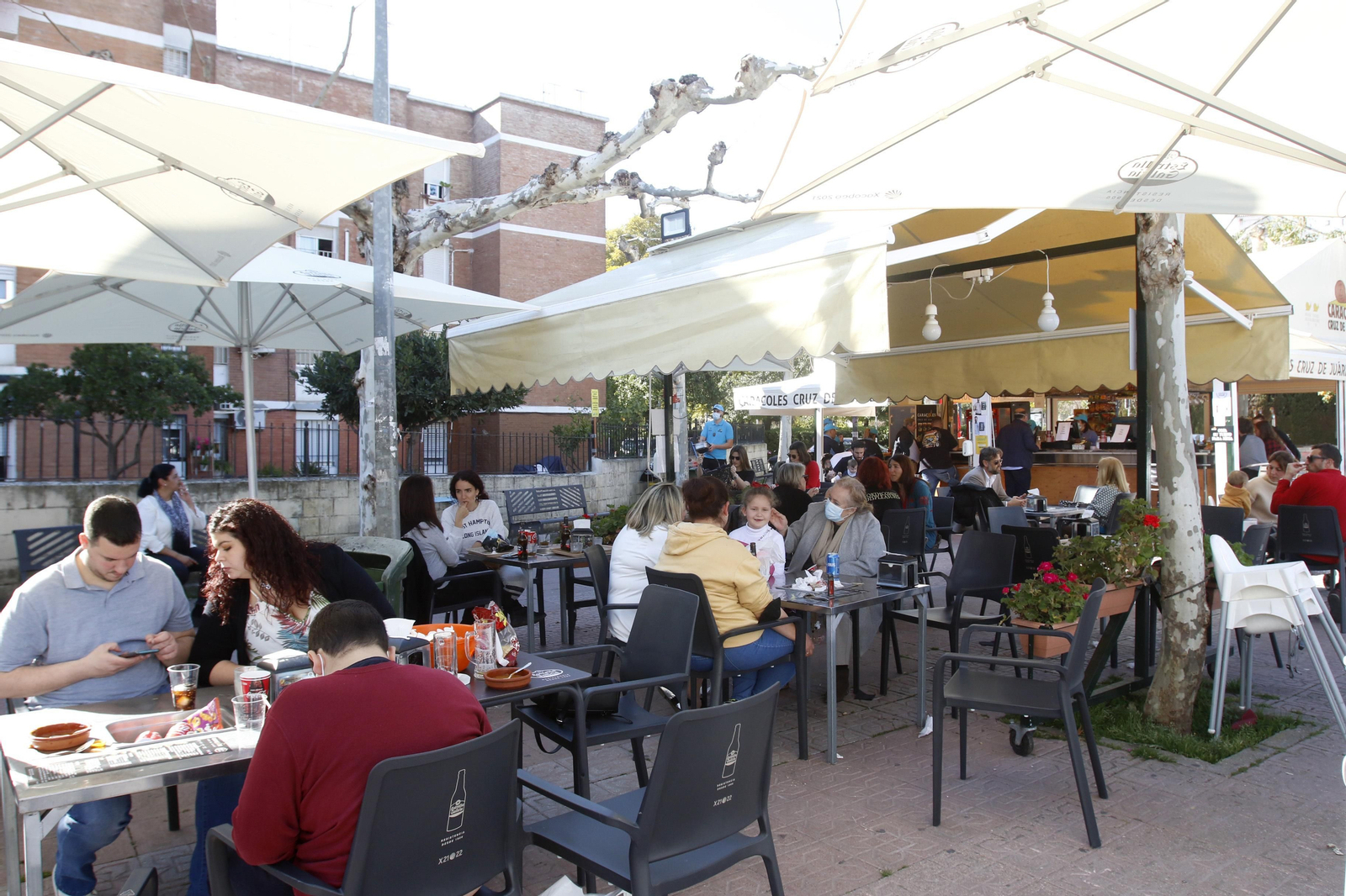 El comienzo de la temporada de caracoles 2022, en imágenes