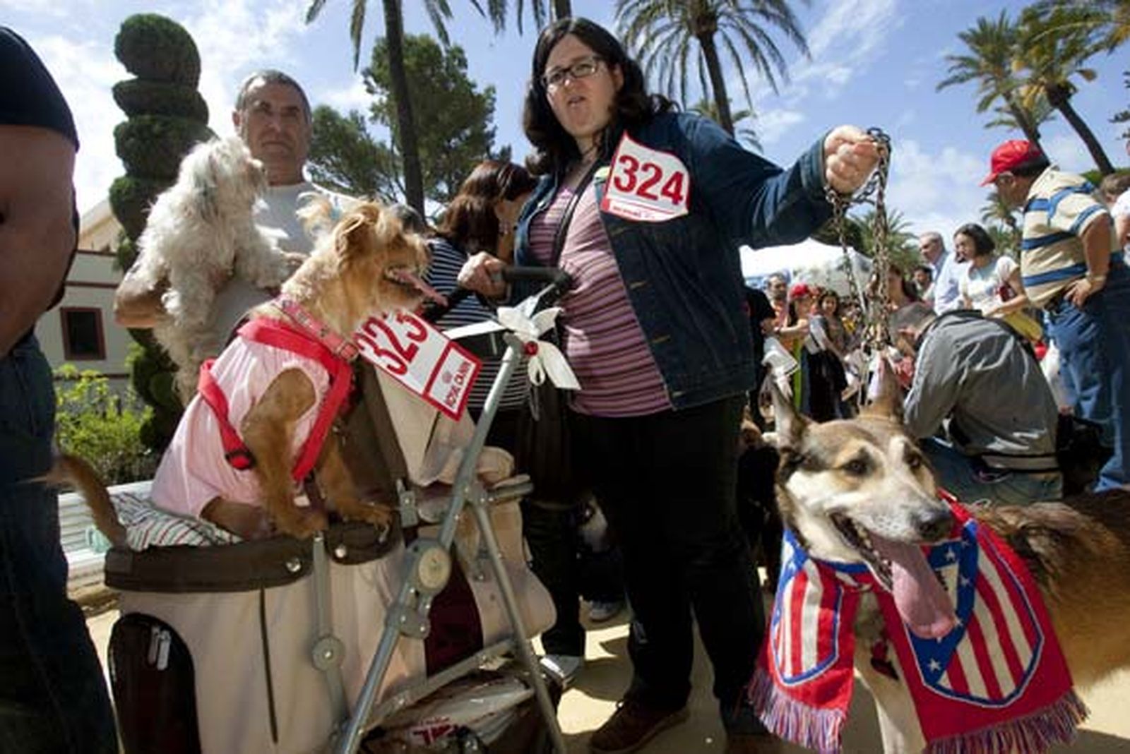 Más de 500 perros participaron en el evento, que contó con una exhibición de las Fuerzas del Orden


Foto: Lourdes de Vicente