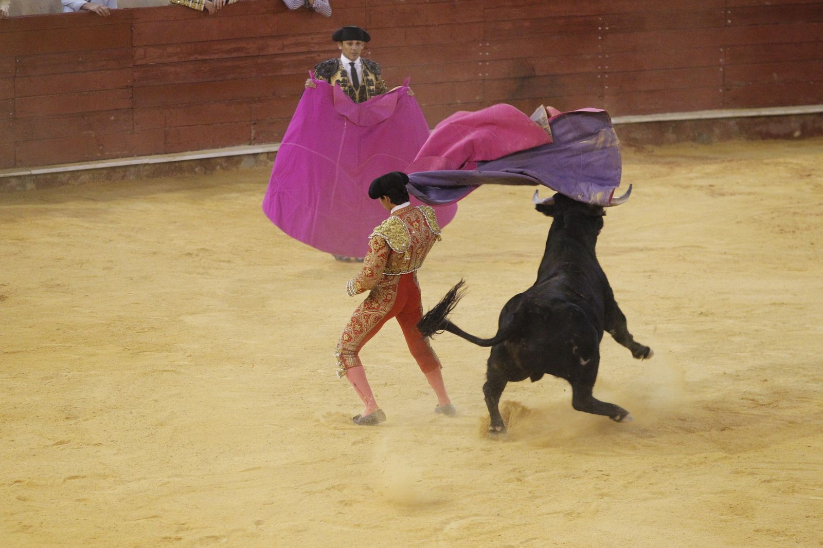 Fotogalería novillada Escuela Taurina de Almería. Feria de Almería 2019