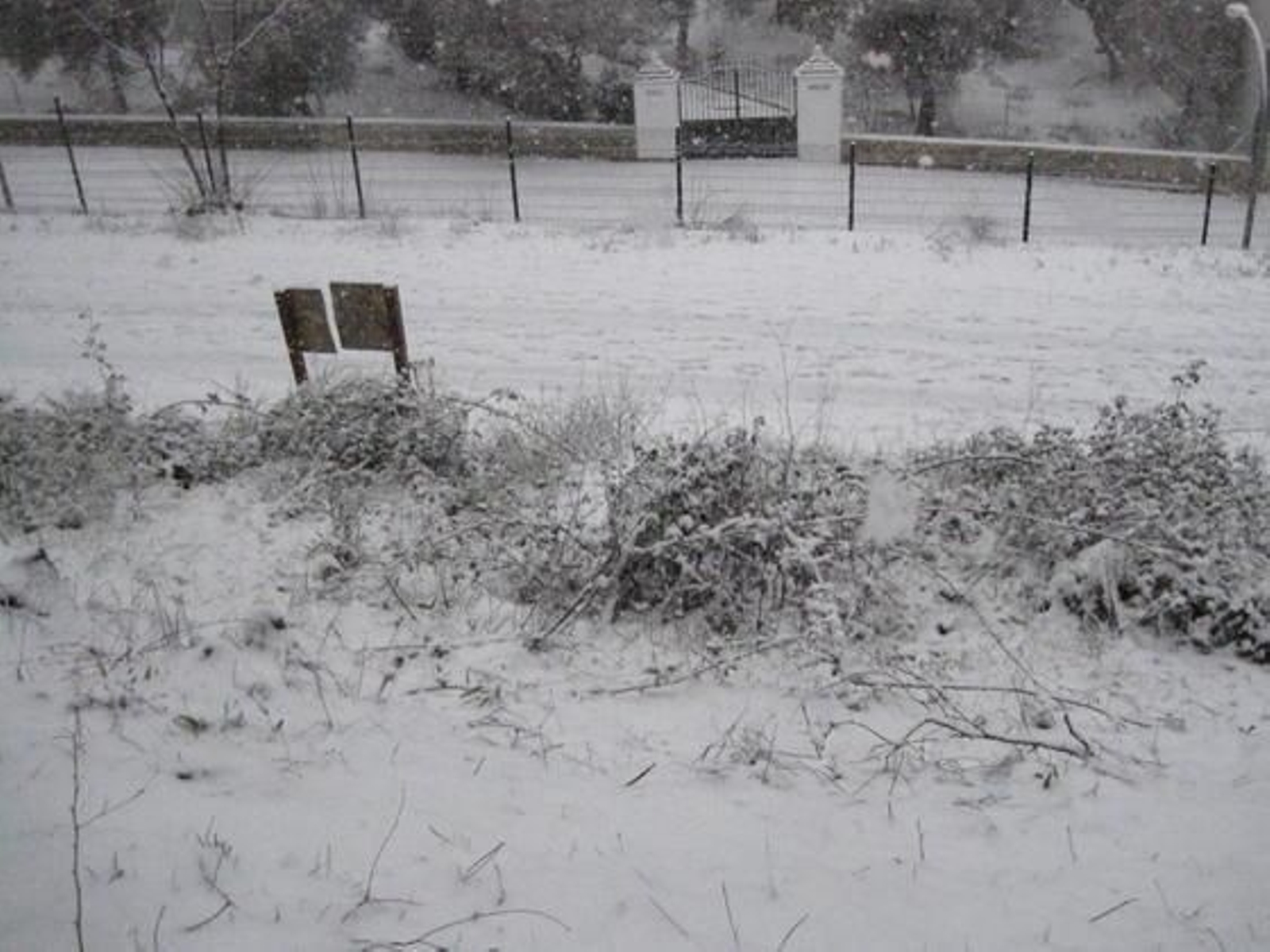 La intensa nevada cubrió todos los arbustos que crecen en la subida al Castillo.

Foto: C. Valdivieso