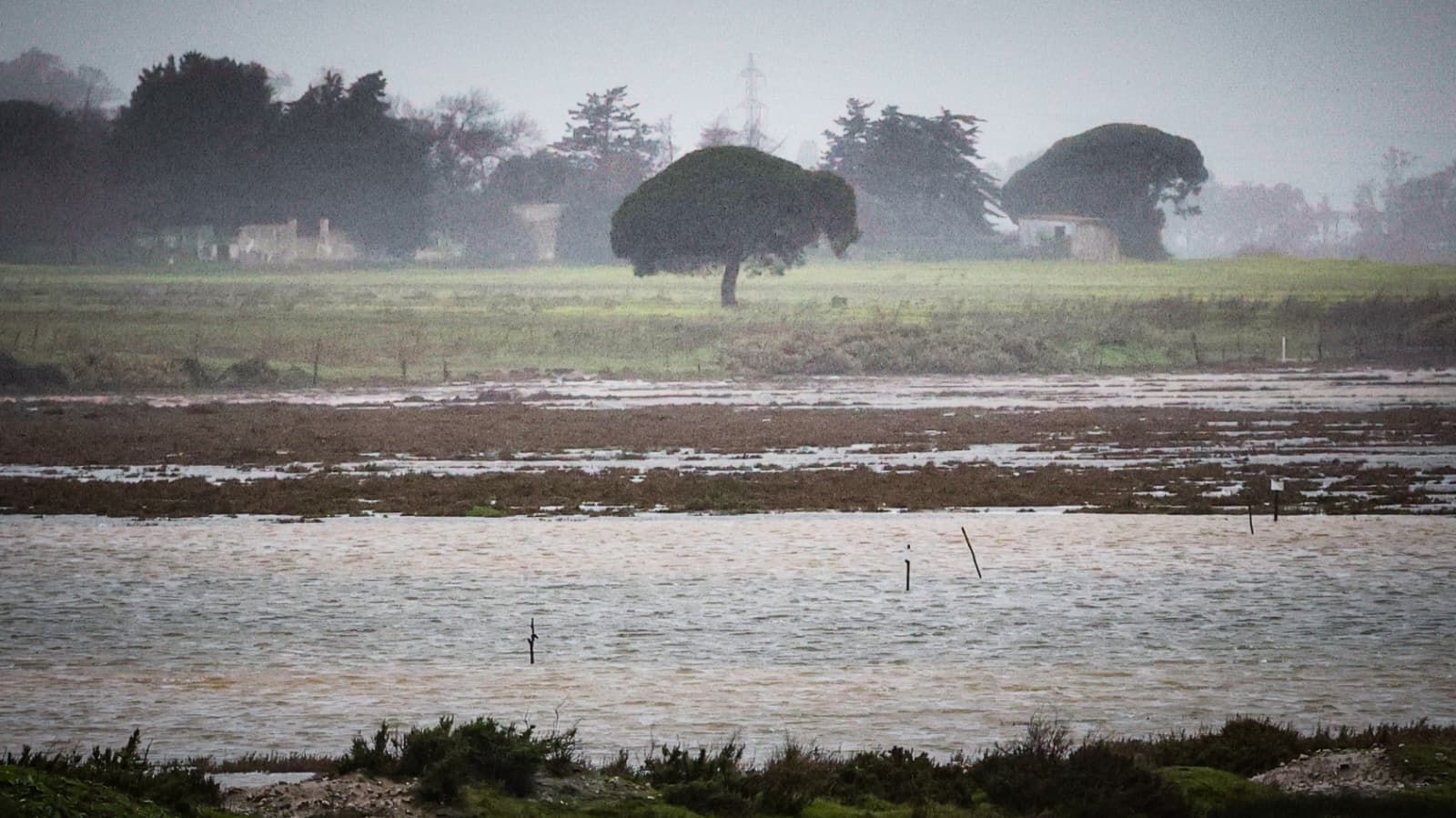 Imágenes de los principales destrozos provocados por la borrasca Leonardo en Cádiz