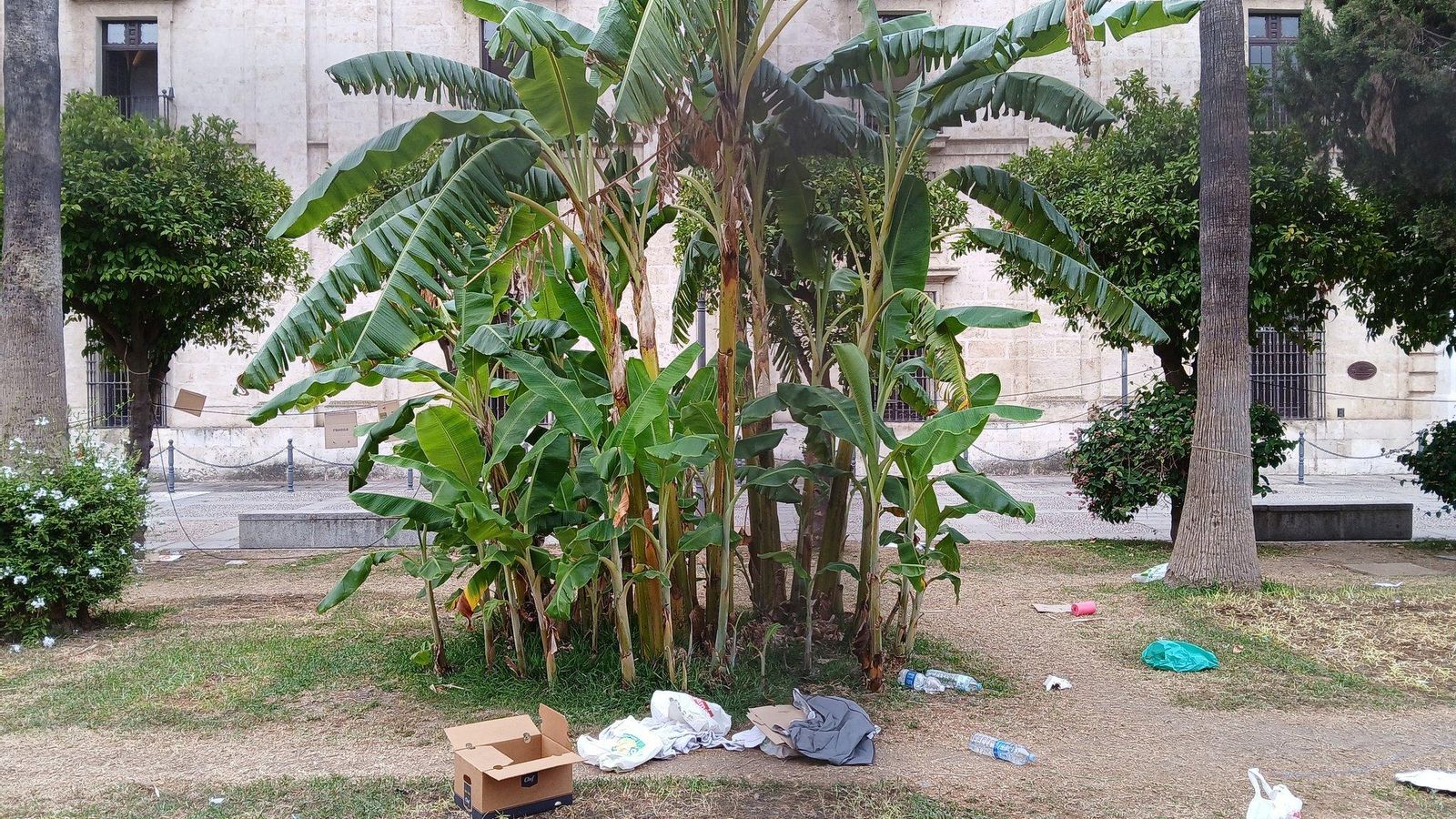 Desperdicios en la Lonja del Rectorado tras levantar la Policía la acampada.