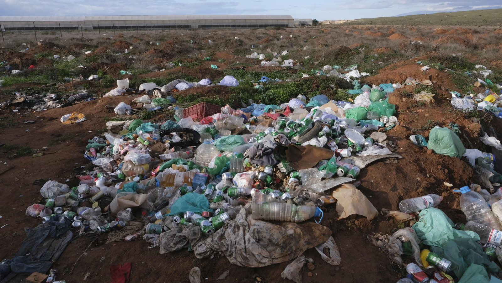 Imágenes del desalojo del asentamiento chabolista 'El Walili', en Níjar