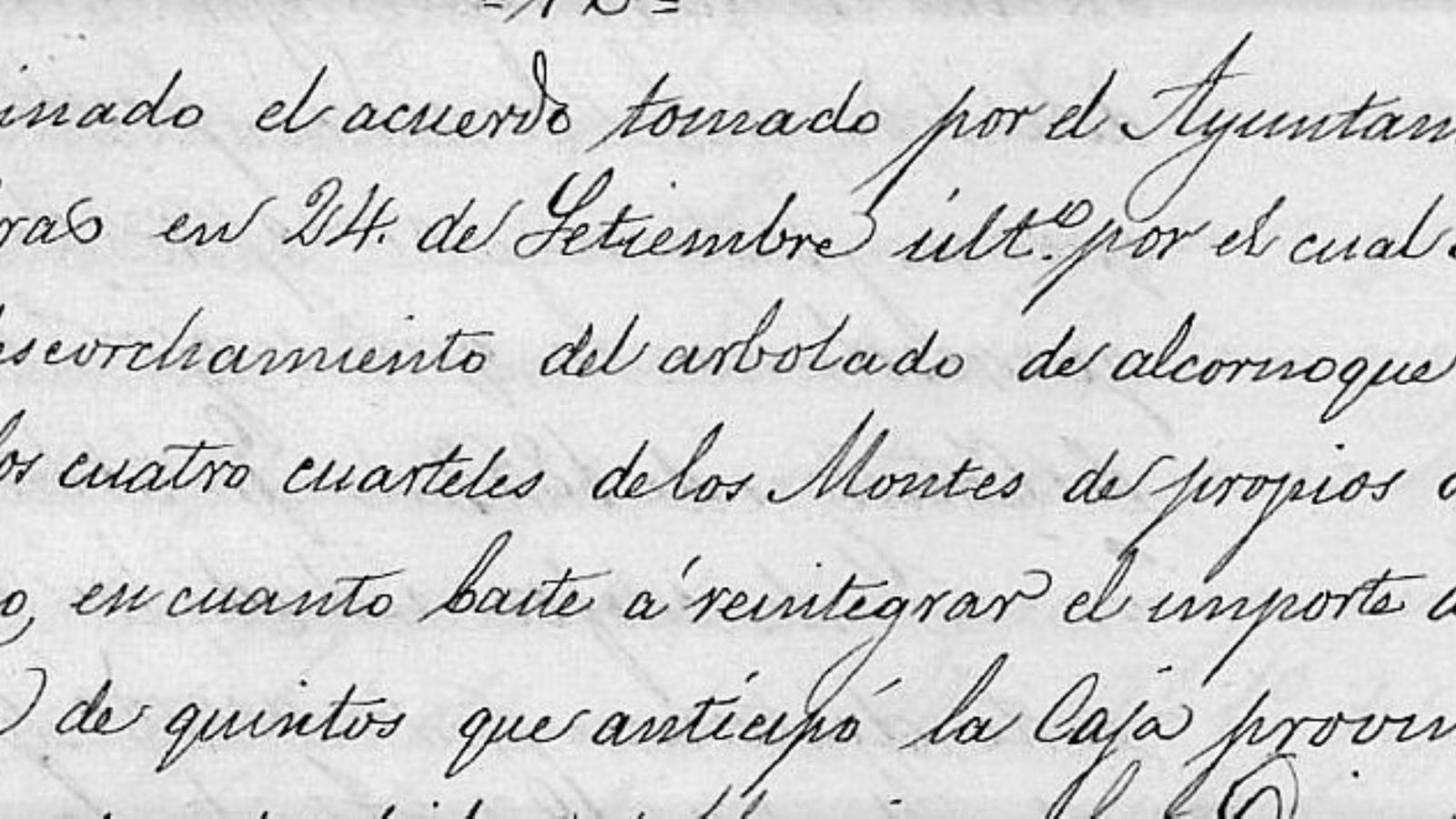 Extracto acuerdo del Ayuntamiento de Algeciras para el descorche a favor de las quintas.