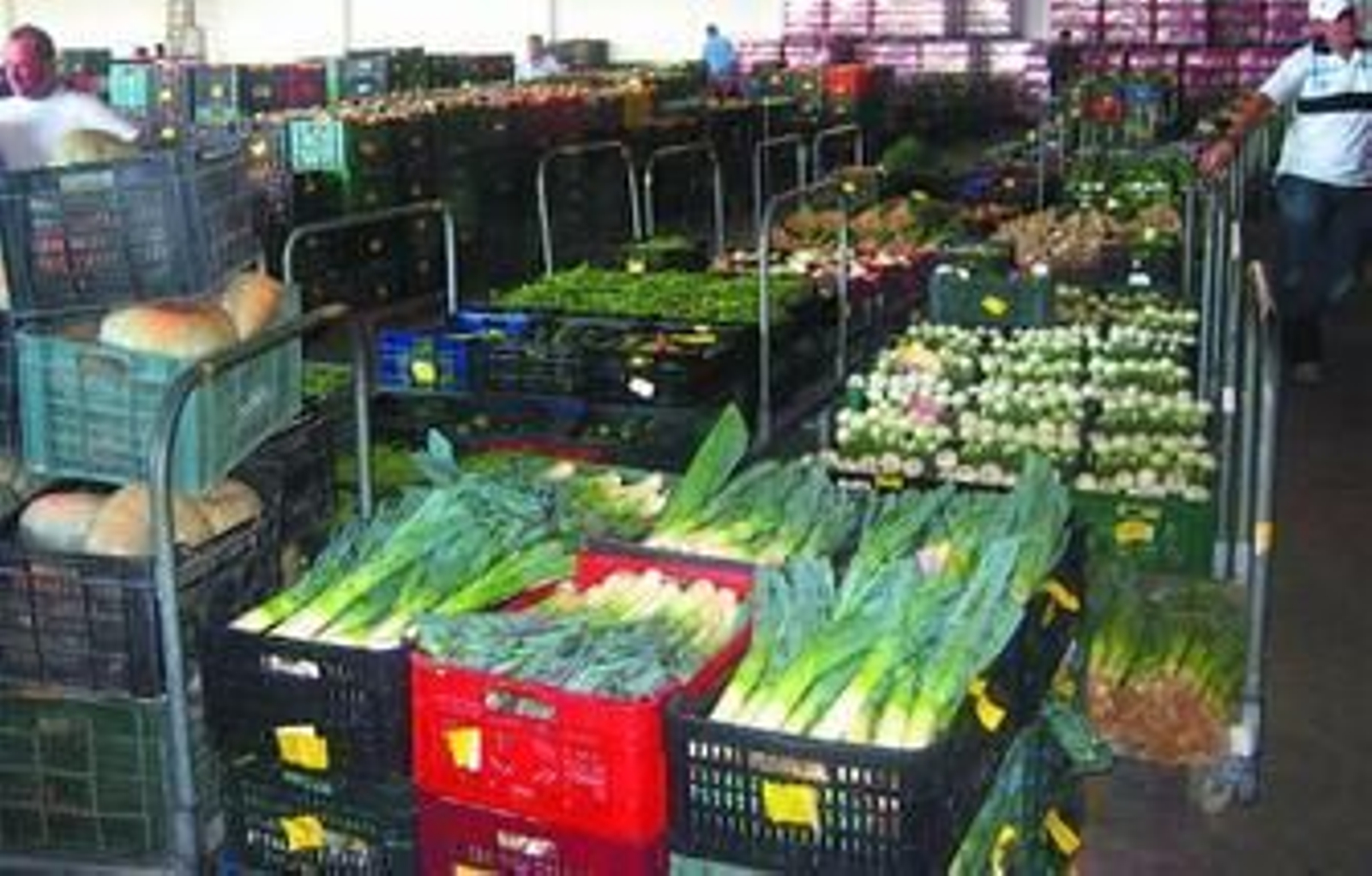 Mercado Rivera de Chipiona, una de las lonjas de hortalizas y frutas de la Costa Noroeste.