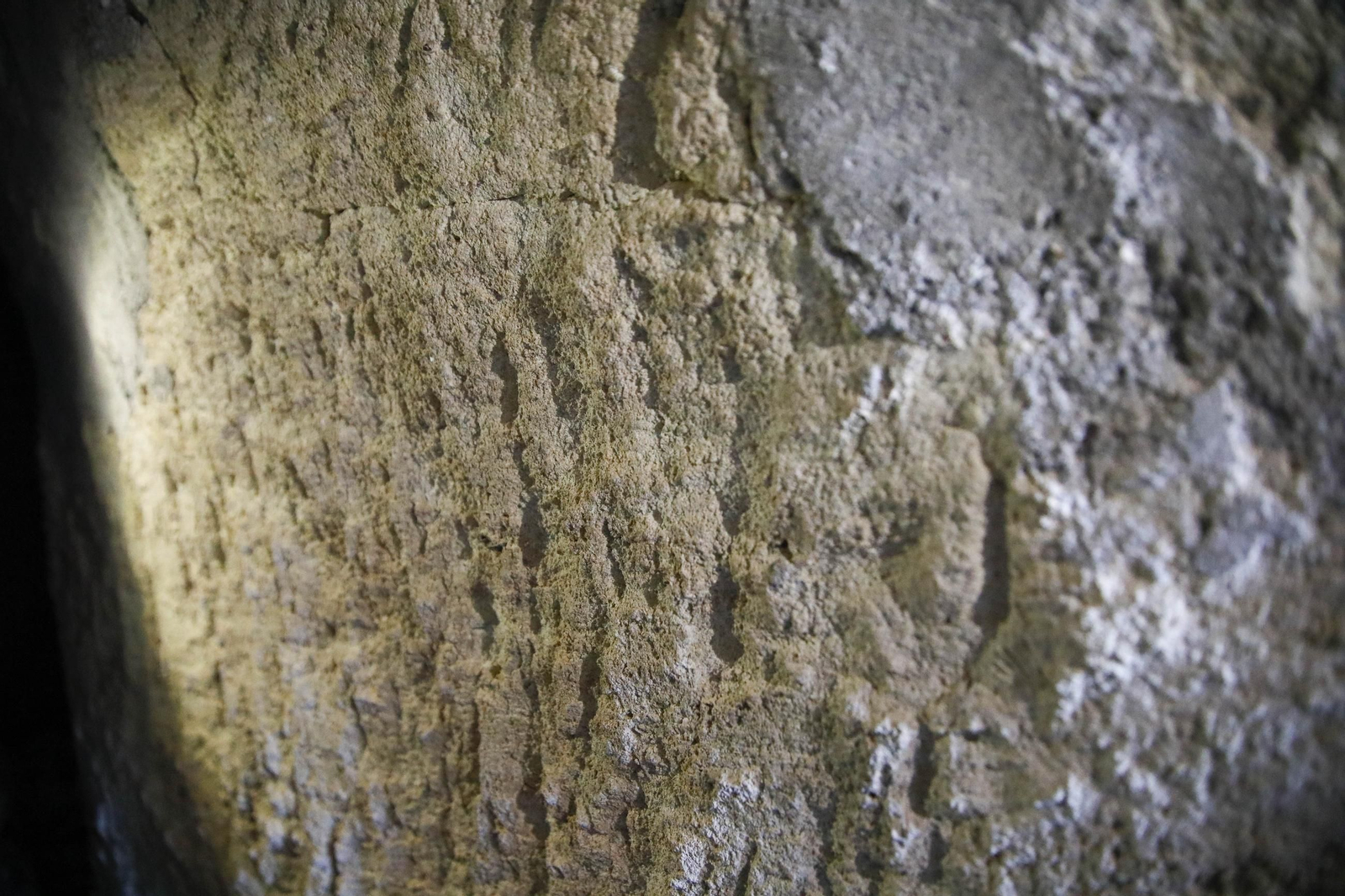 Imágenes de los refugios de la guerra civil descubierto en el barrio de Las Trincheras