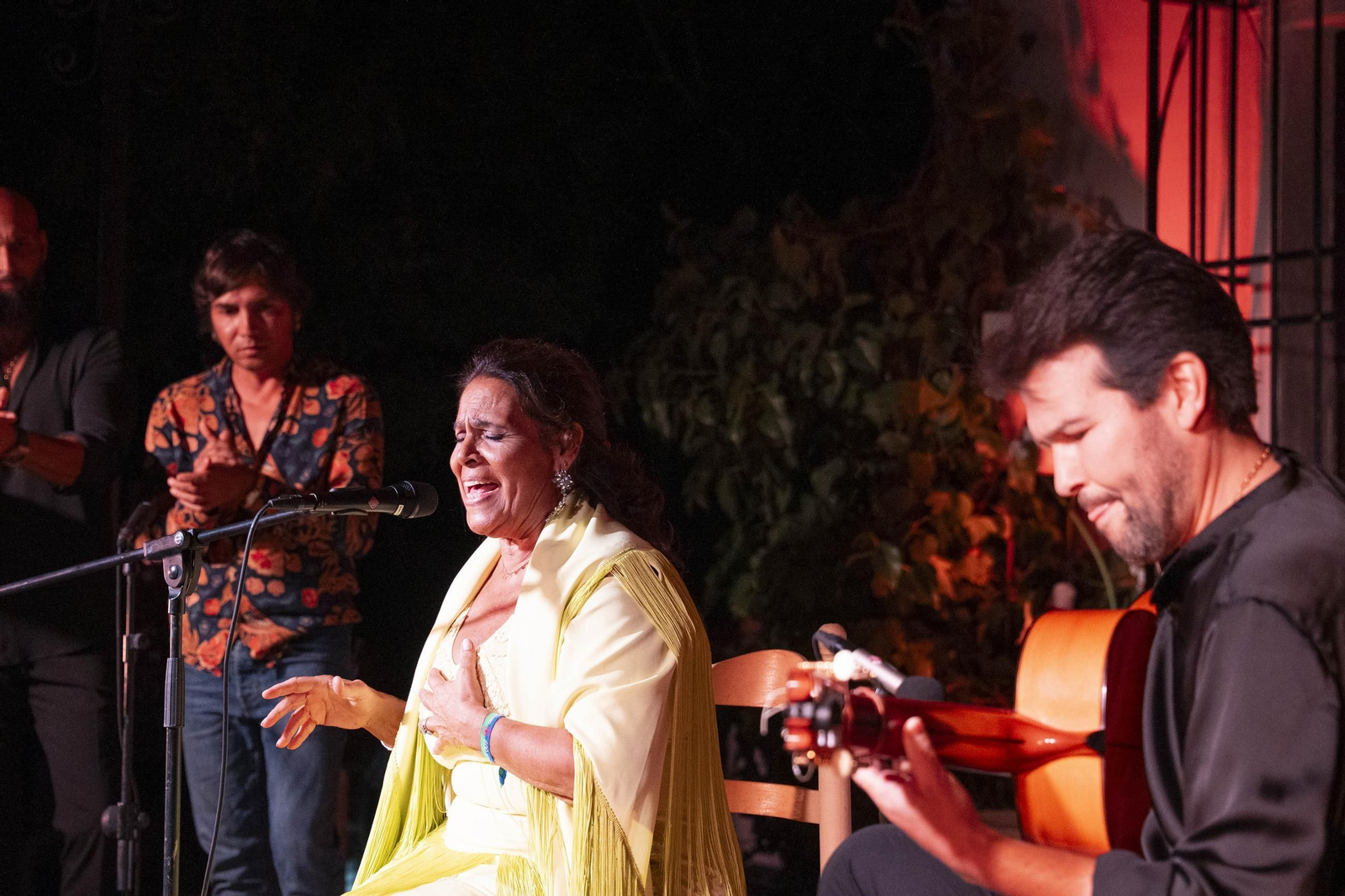 Las mejores imágenes del Festival de Flamenco en Fondón