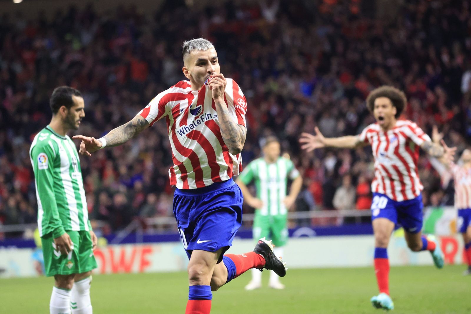 Las fotos del Atlético Madrid - Betis