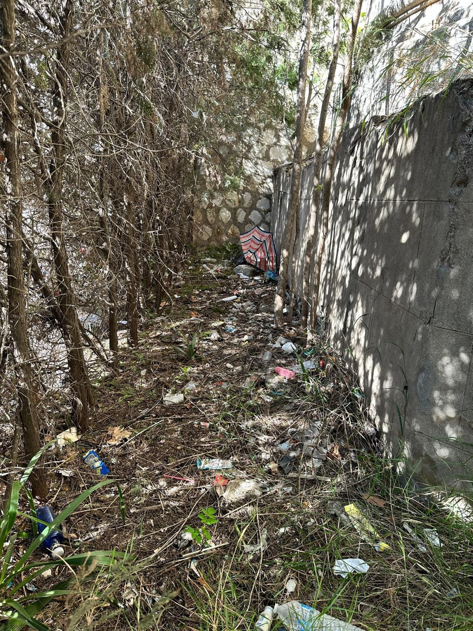 Los residuos acumulados en las márgenes del río.