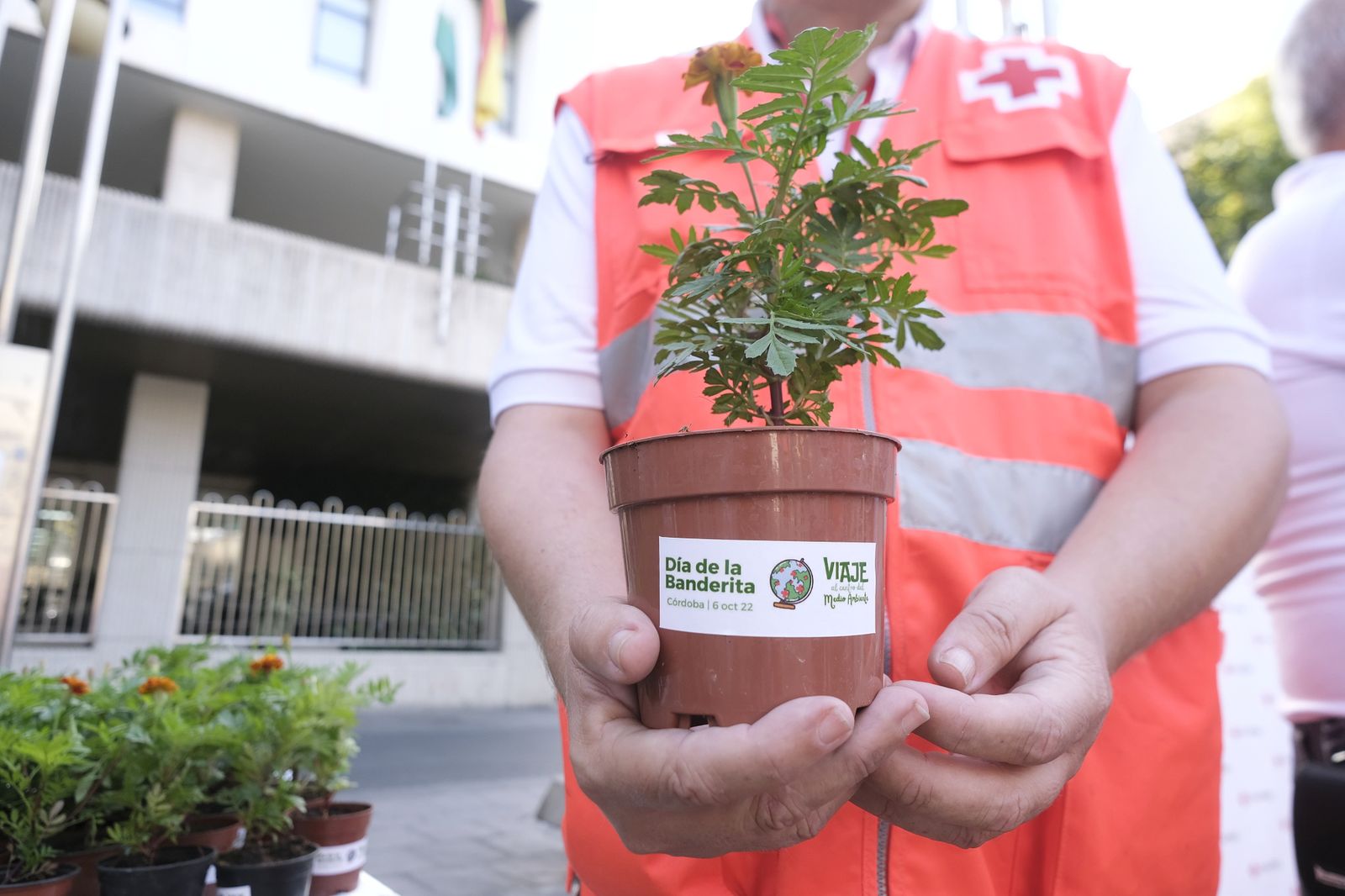 Día de la Banderita de Cruz Roja en Córdoba, en imágenes