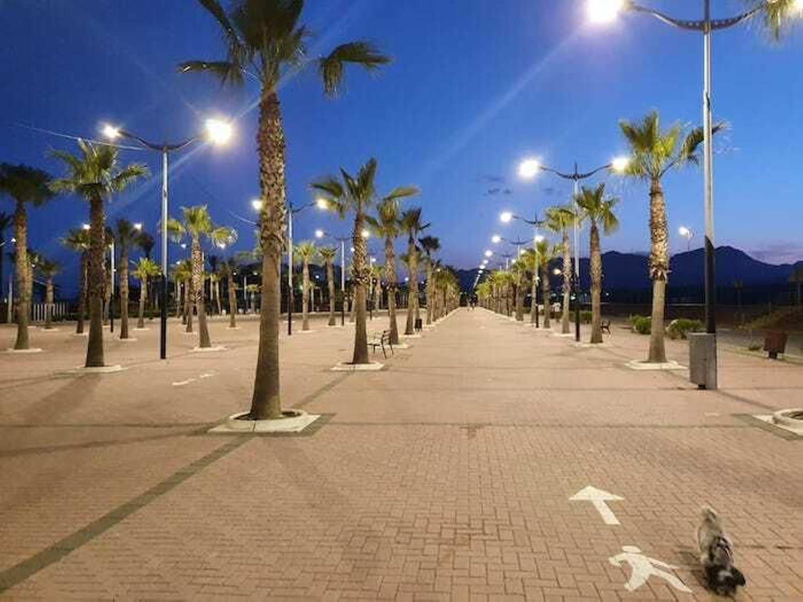 Pulpí destina 1,2 millones para renovar el alumbrado y reducir la factura en 76.000 euros al año