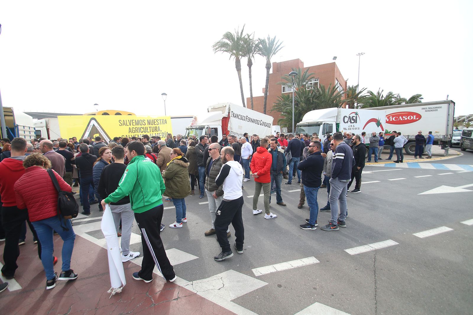 Fotogalería de la manifestación de agricultores