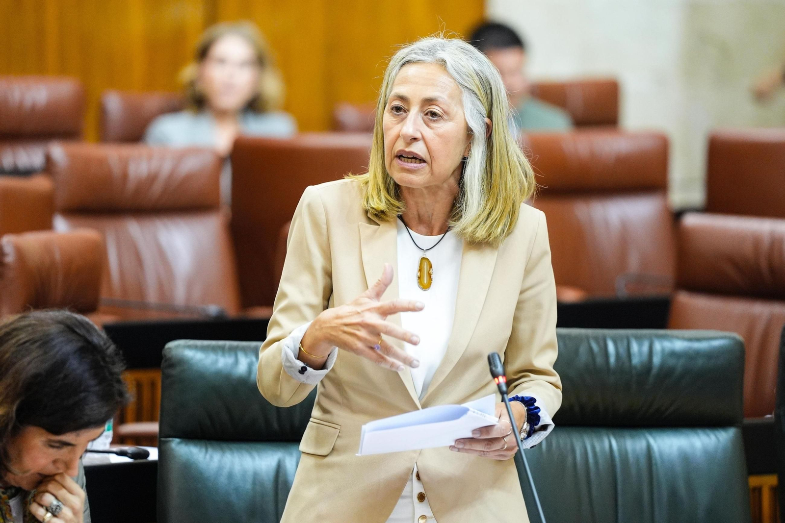 La consejera de Salud, Rocío Hernández,  este jueves en el Parlamento andaluz donde se ha hablado sobre el nuevo hospital de Cádiz.