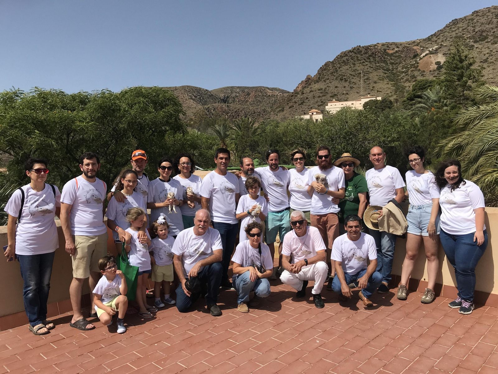 Fotogalería de las nuevas crías de lechuza en Rodalquilar