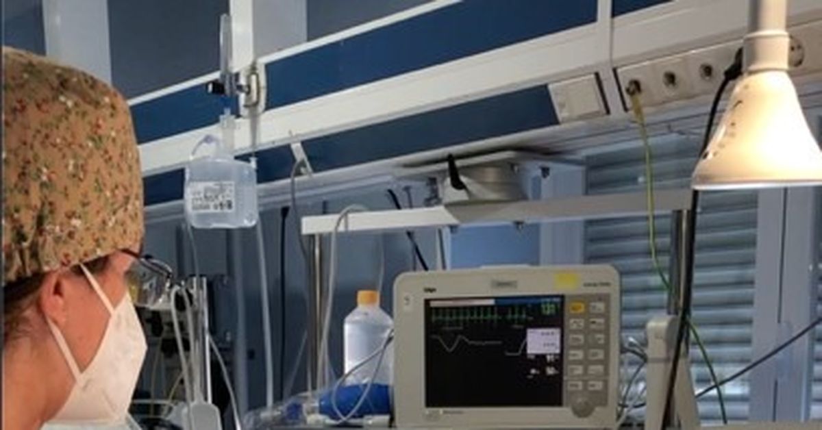 Una investigación del hospital Puerta del Mar e INiBICA anticipa problemas respiratorios en bebés prematuros