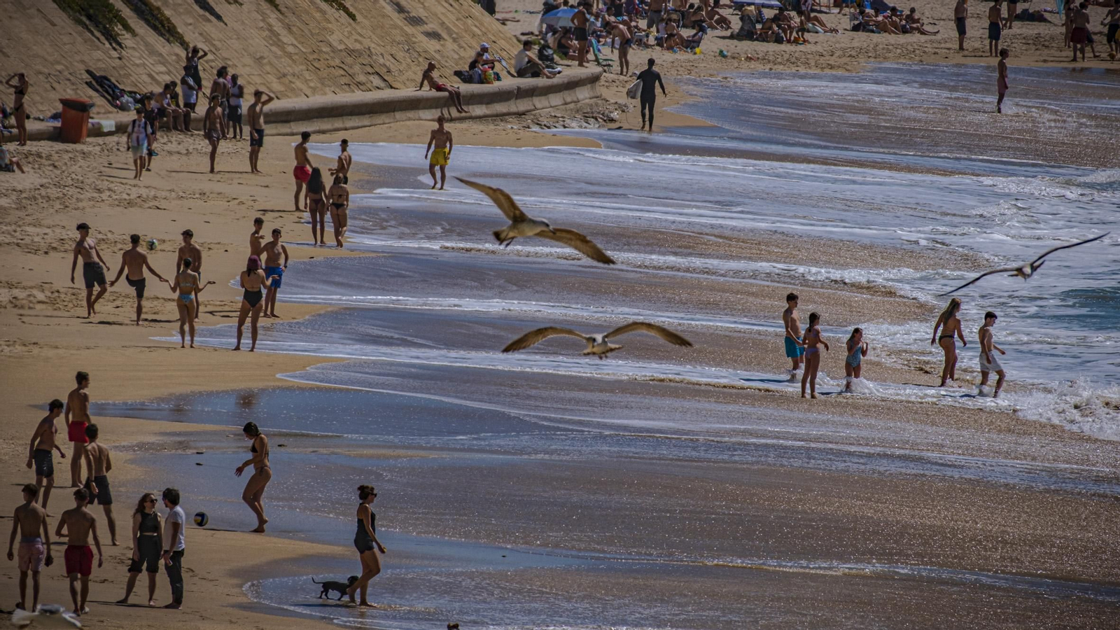 Las imágenes de las mareas vivas en pleamar de las playas de Cádiz