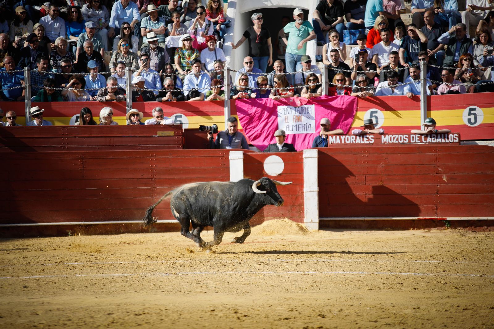 Imágenes del festival mixto lucha contra el cáncer