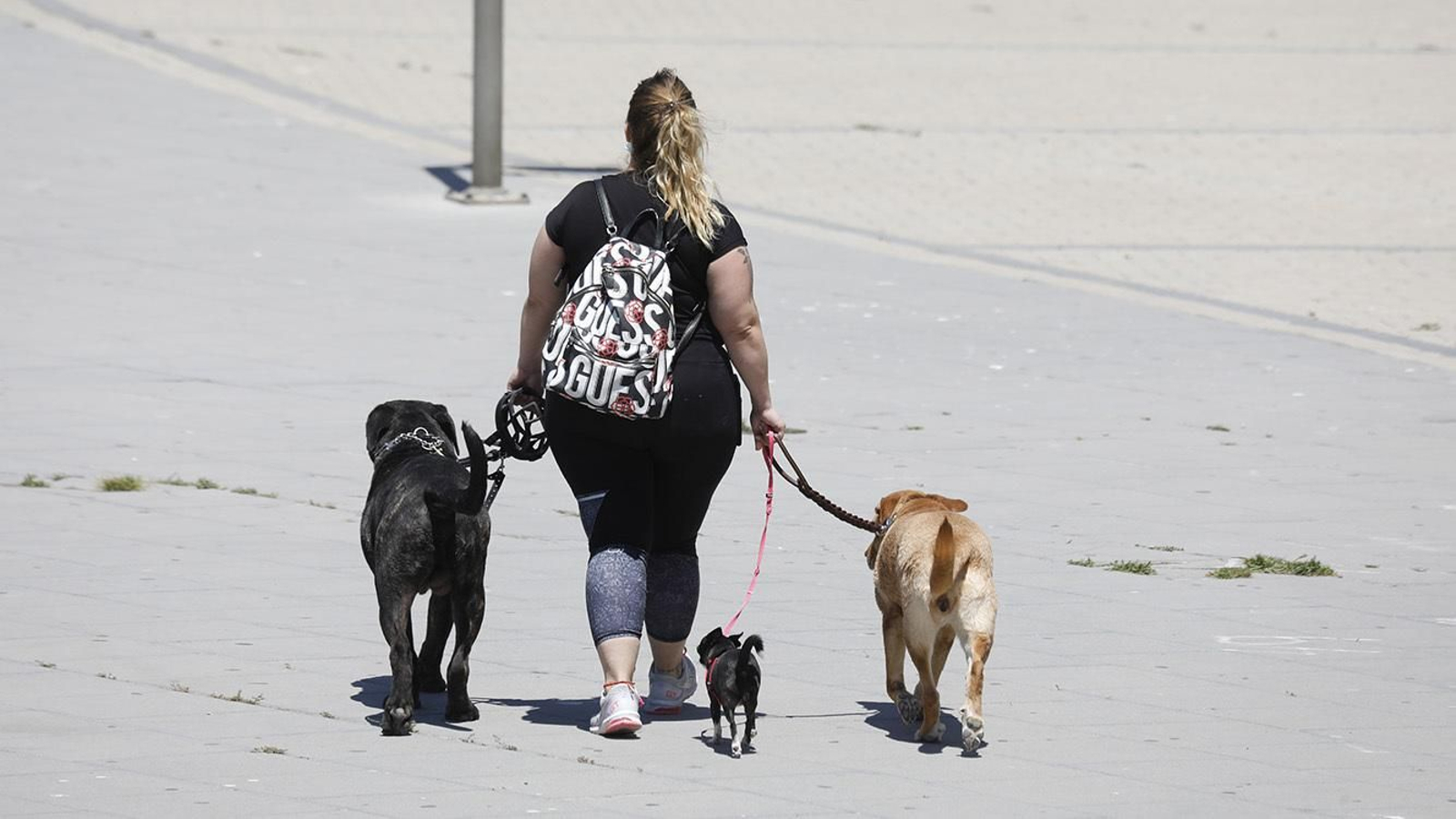 Las fotos de la Línea