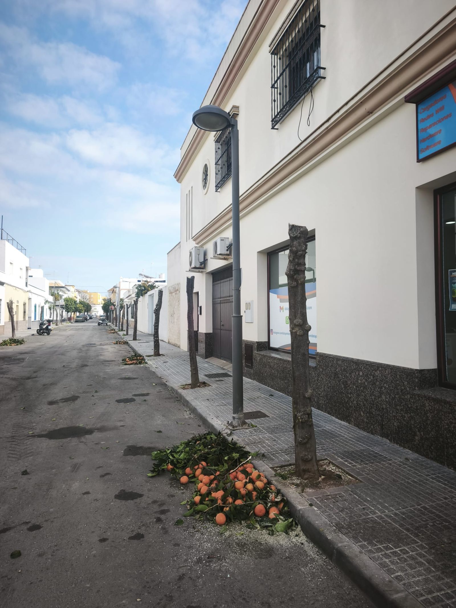 WhatsApp Image 2026-01-14 at 16.52.43