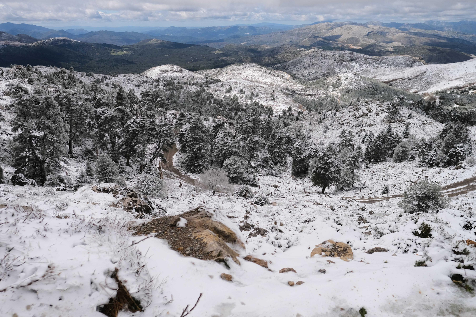 La nevada en la Sierra de las Nieves, en fotos.