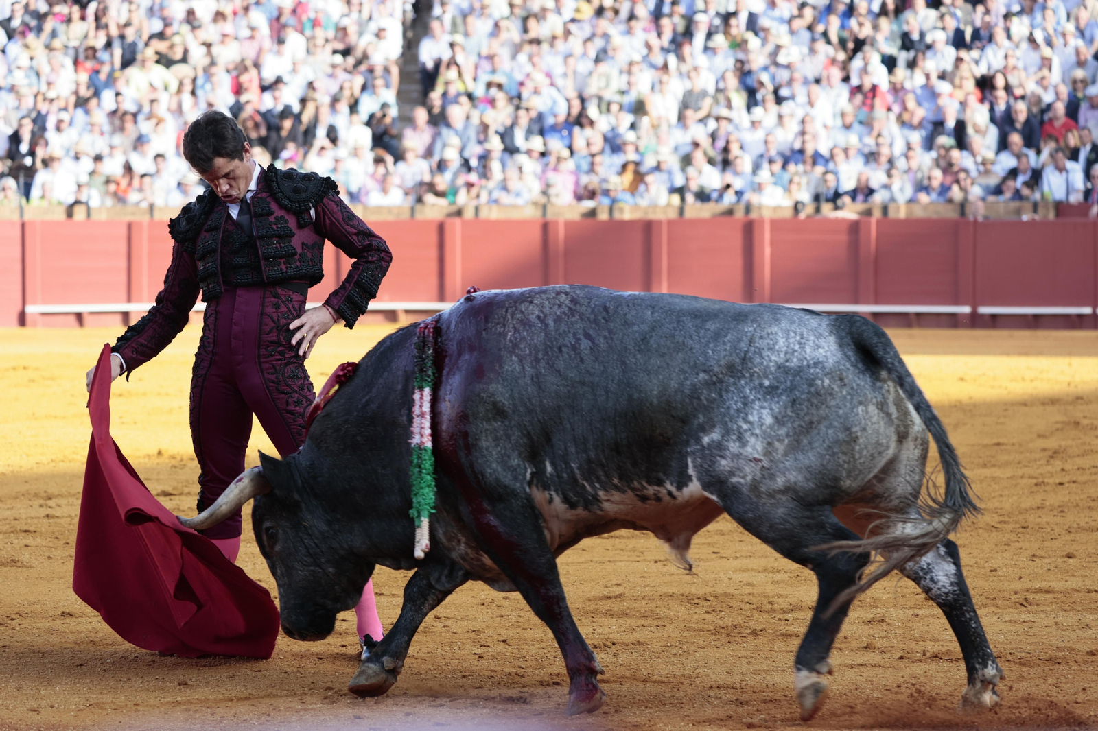 las imágenes del festejo
