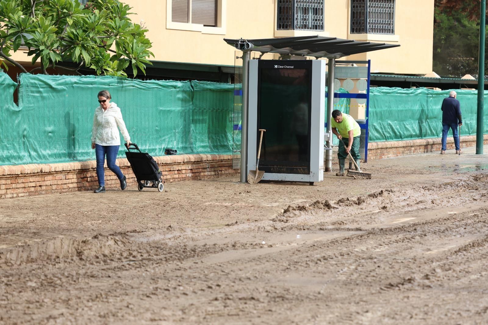 WhatsApp Image 2024-11-14 at 14.35.09.jpeg