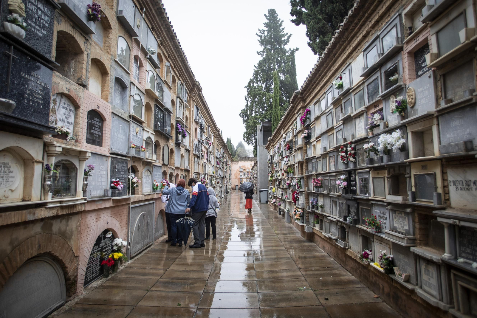 Cementerio de San José
