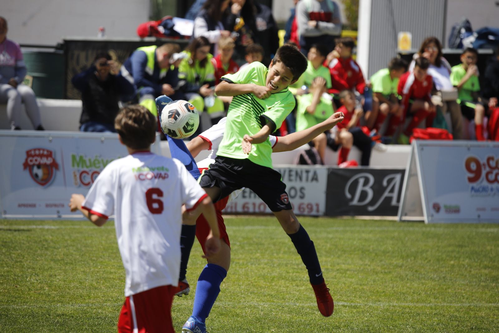 Las imágenes de la Copa Covap en Pozoblanco