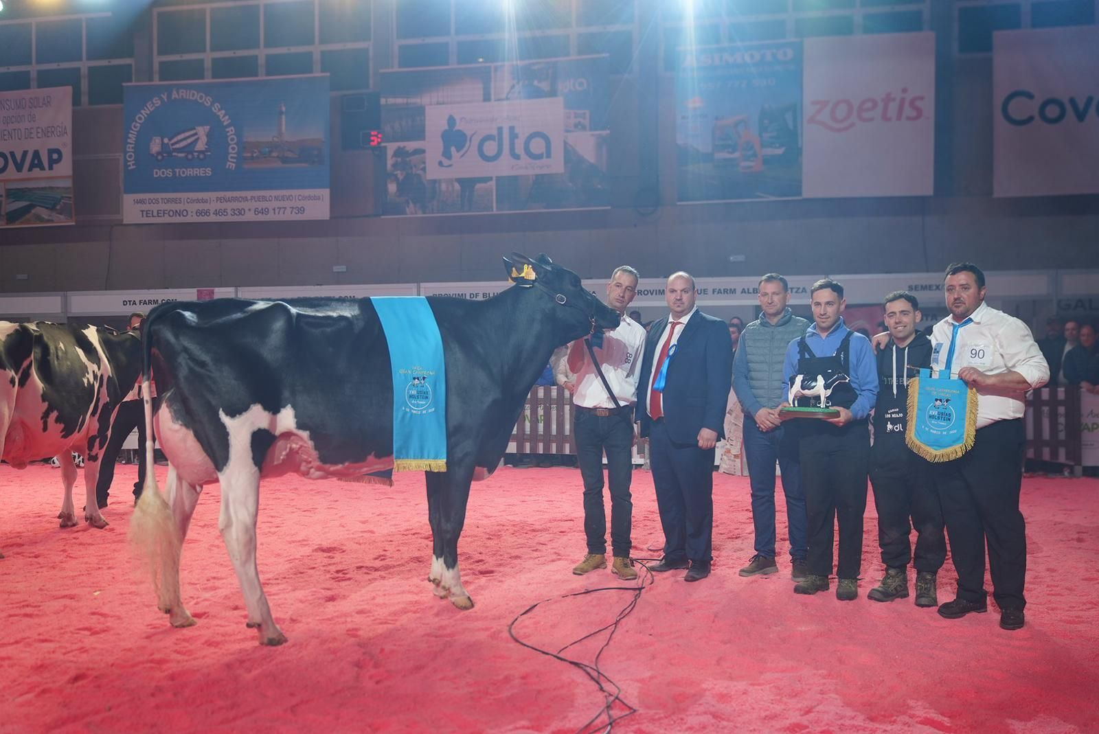 Las imágenes de la última jornada de la XVII Feria del Ganado Frisón de Dos Torres