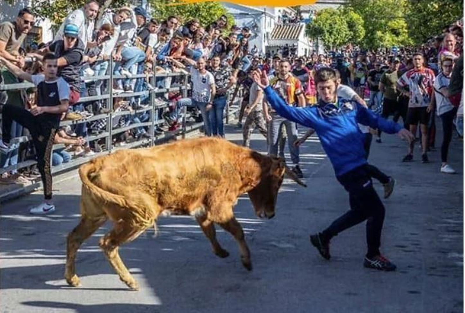 Detalle del cartel de la suelta de vacas 2024.