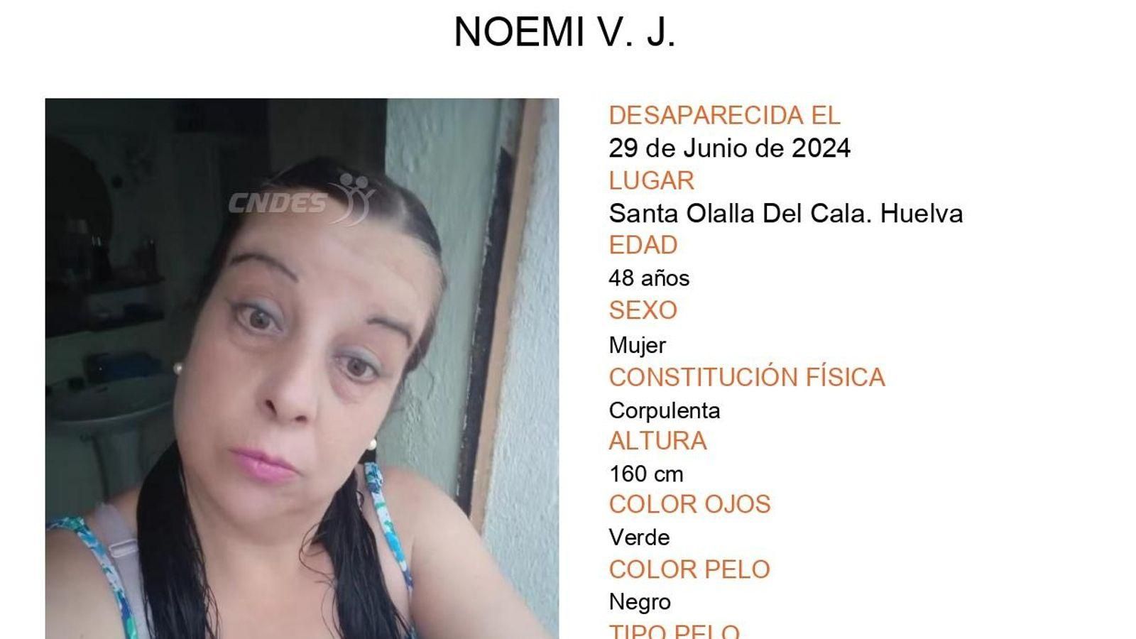 Ficha de desaparición de Noemí.