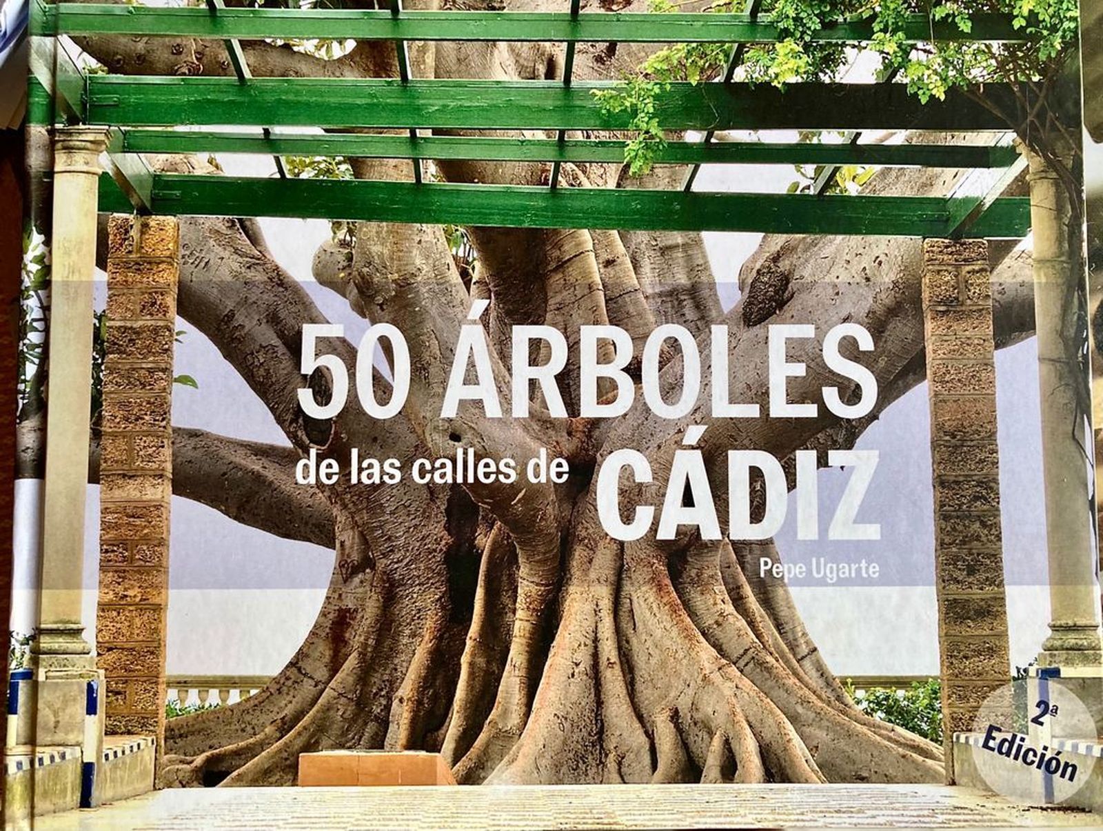 Portada de la segunda edición del libro de Pepe Ugarte.