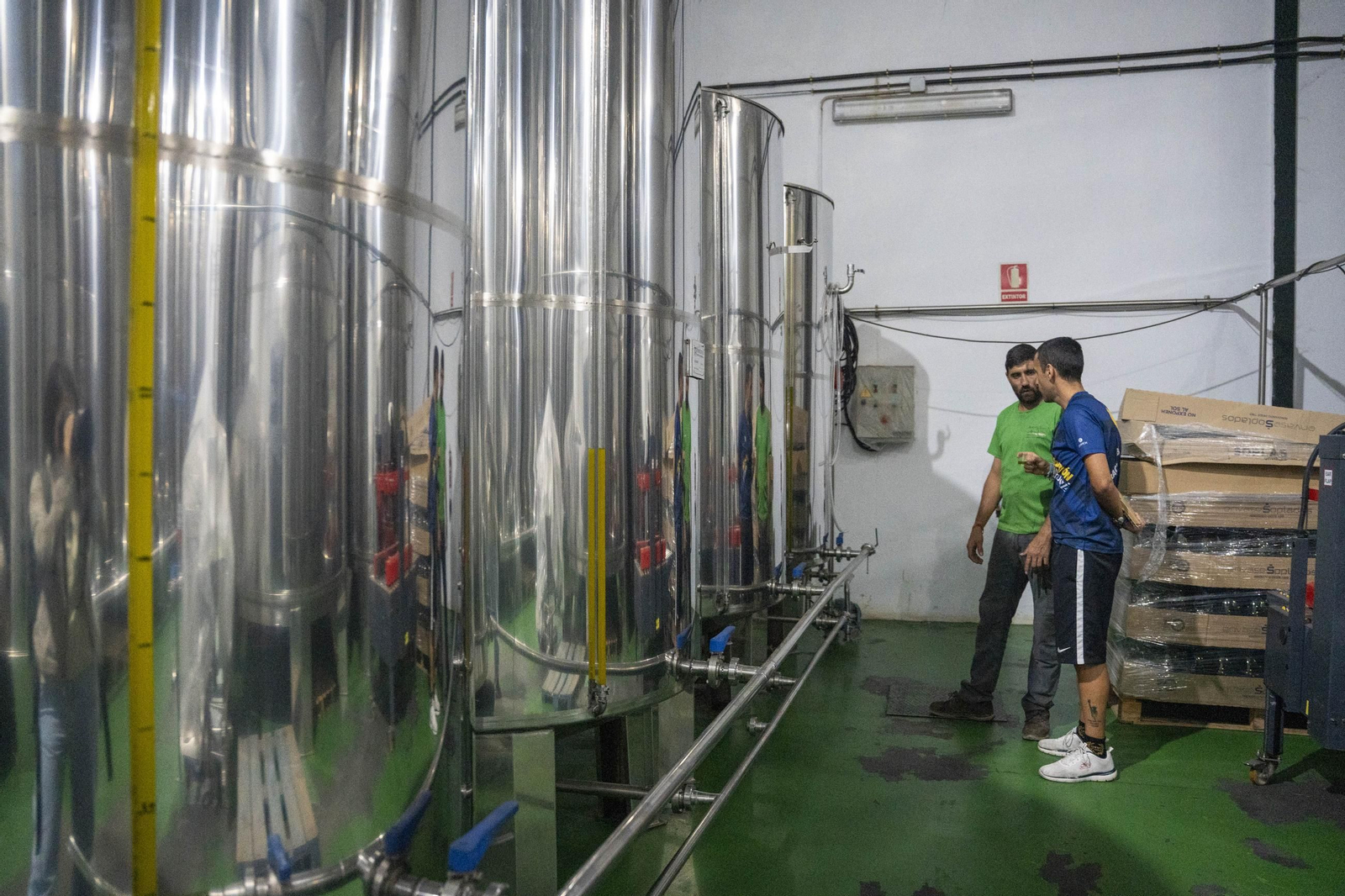 Os enseñamos como se hace el aceite en la almazara de Fiñana, en imágenes