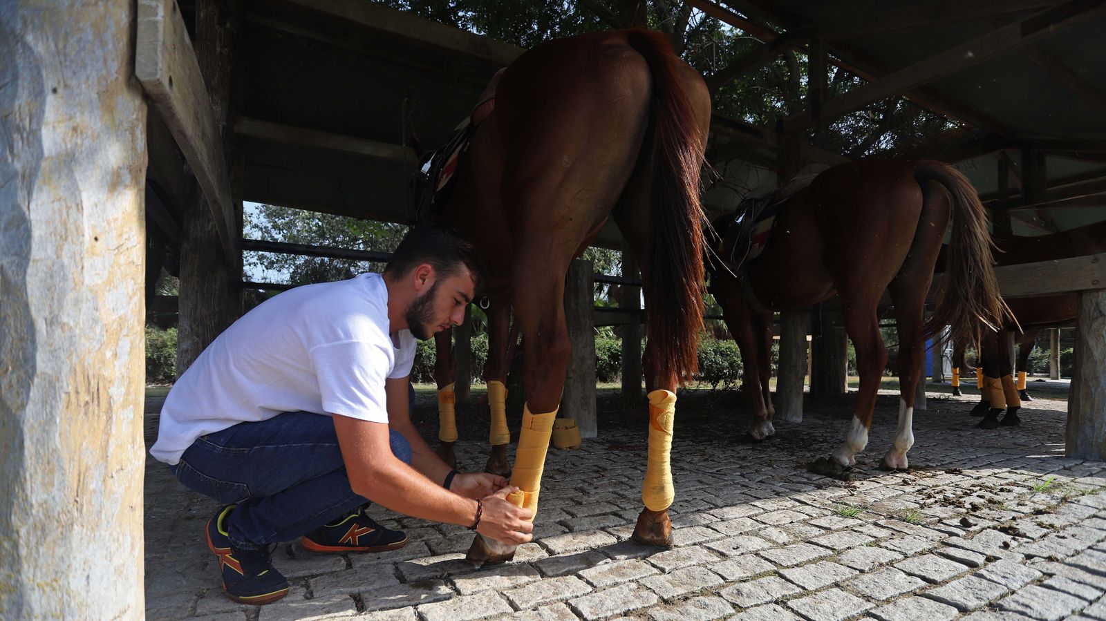 El polo desde dentro