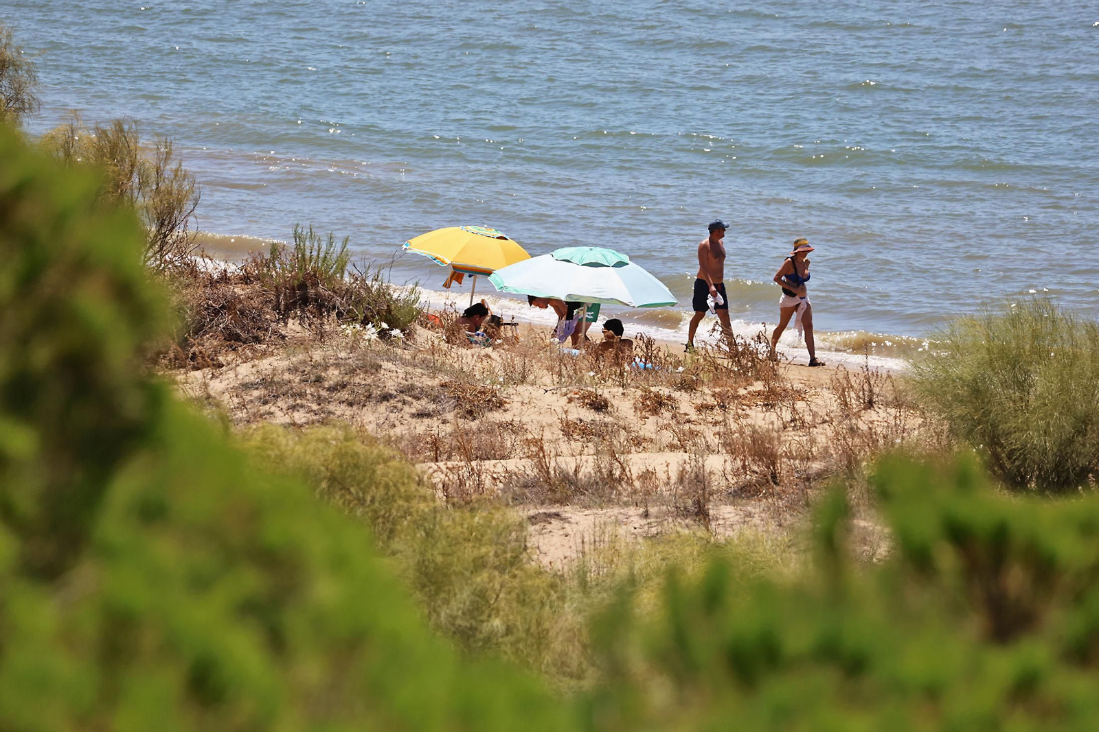 Las espectaculares vistas de la Flecha del Rompido desde el mirador de Nuevo Portil
