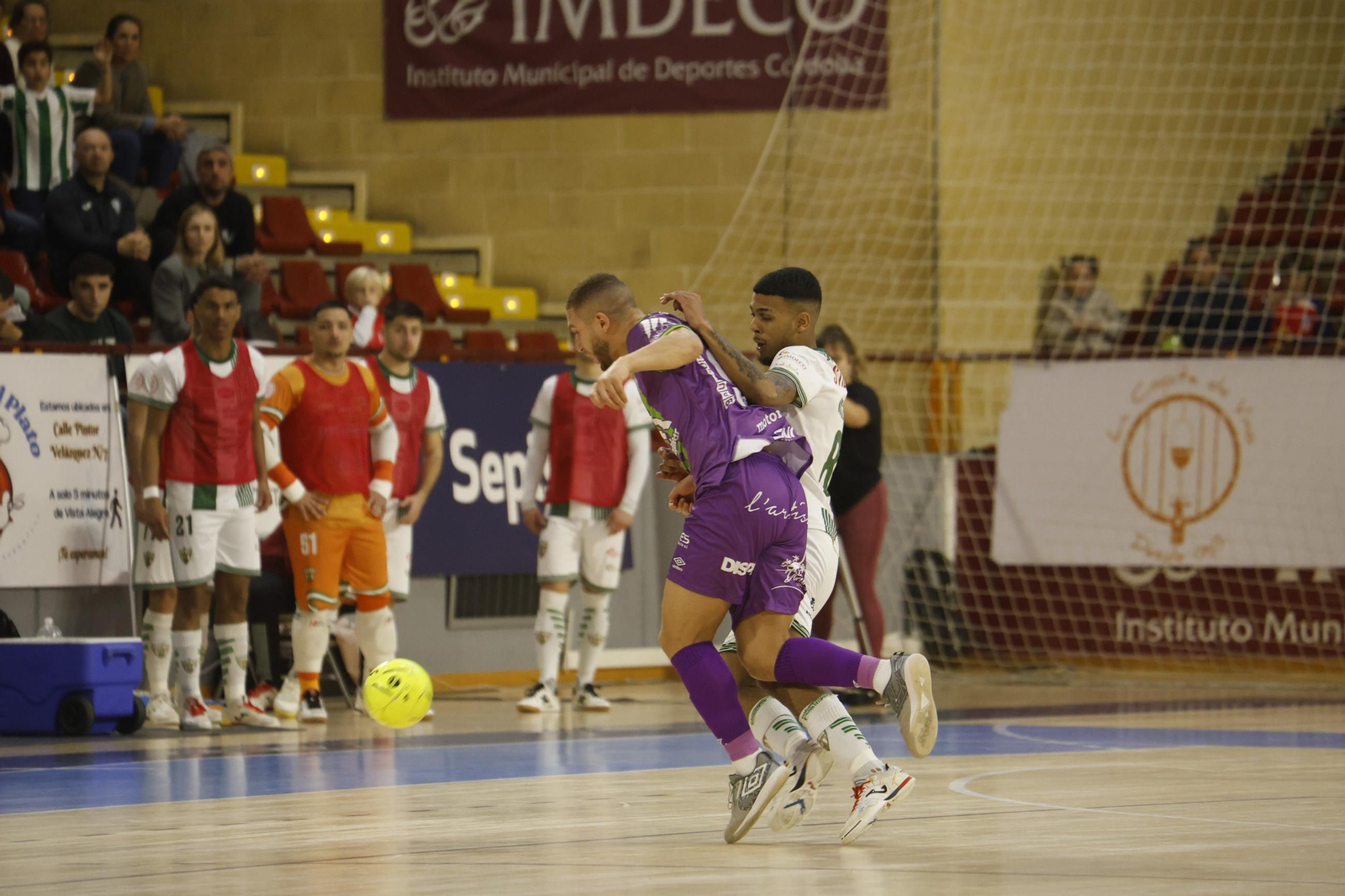 Las mejores fotos del ambiente en Vista Alegre para el Córdoba Futsal - Palma.