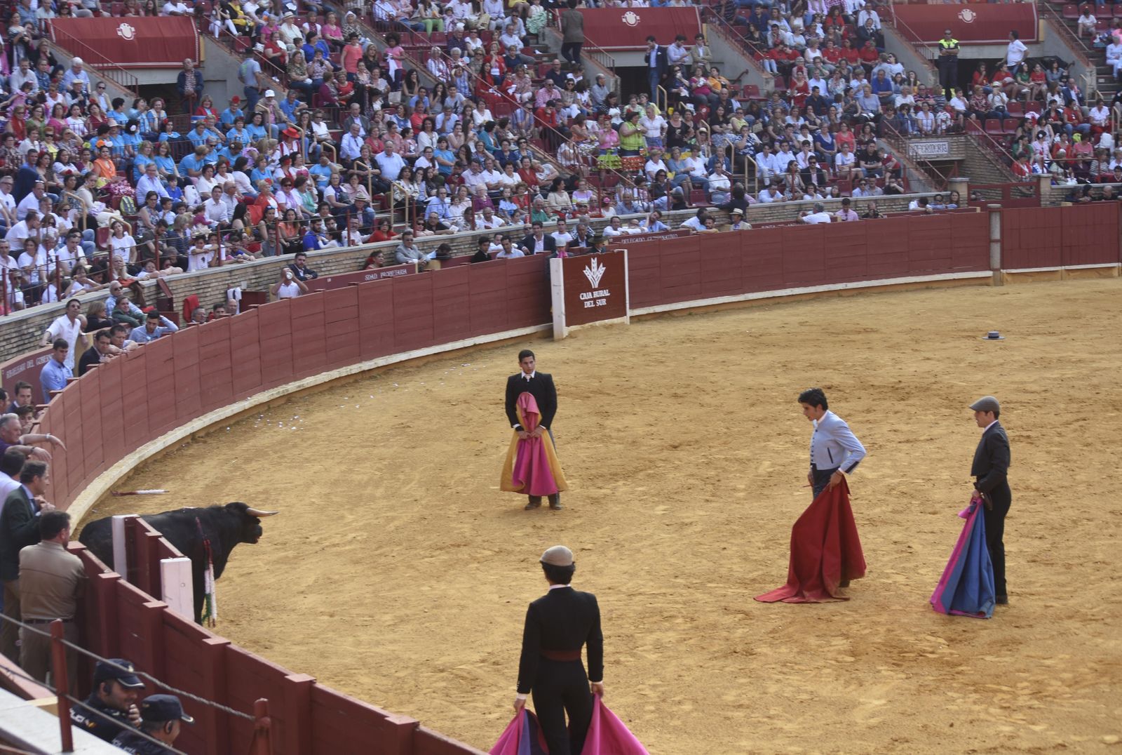 Los Califas abre hoy sus puertas