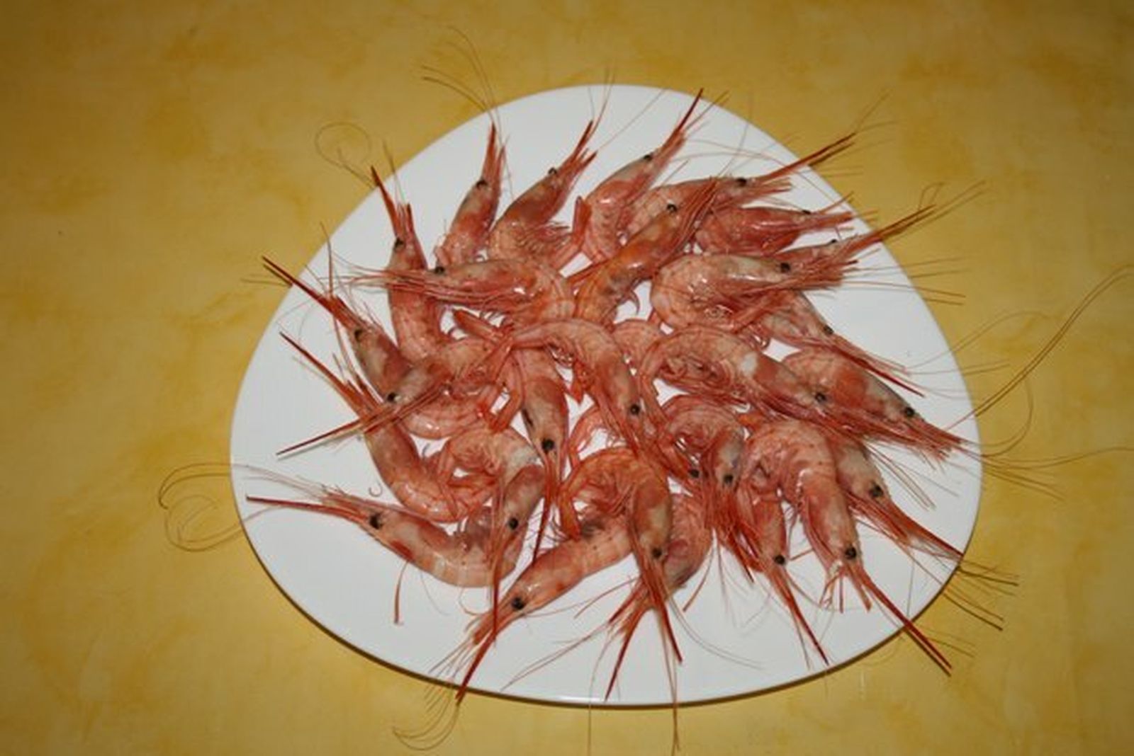 Periquitos: 'Plesionika narval'