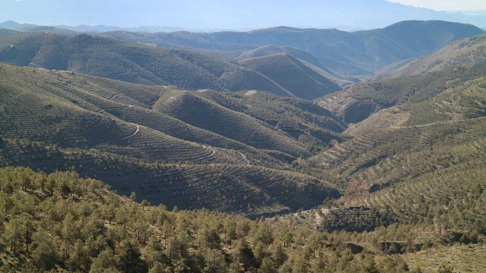 Una de las rutas discurrirá por la Sierra de los Filabres.