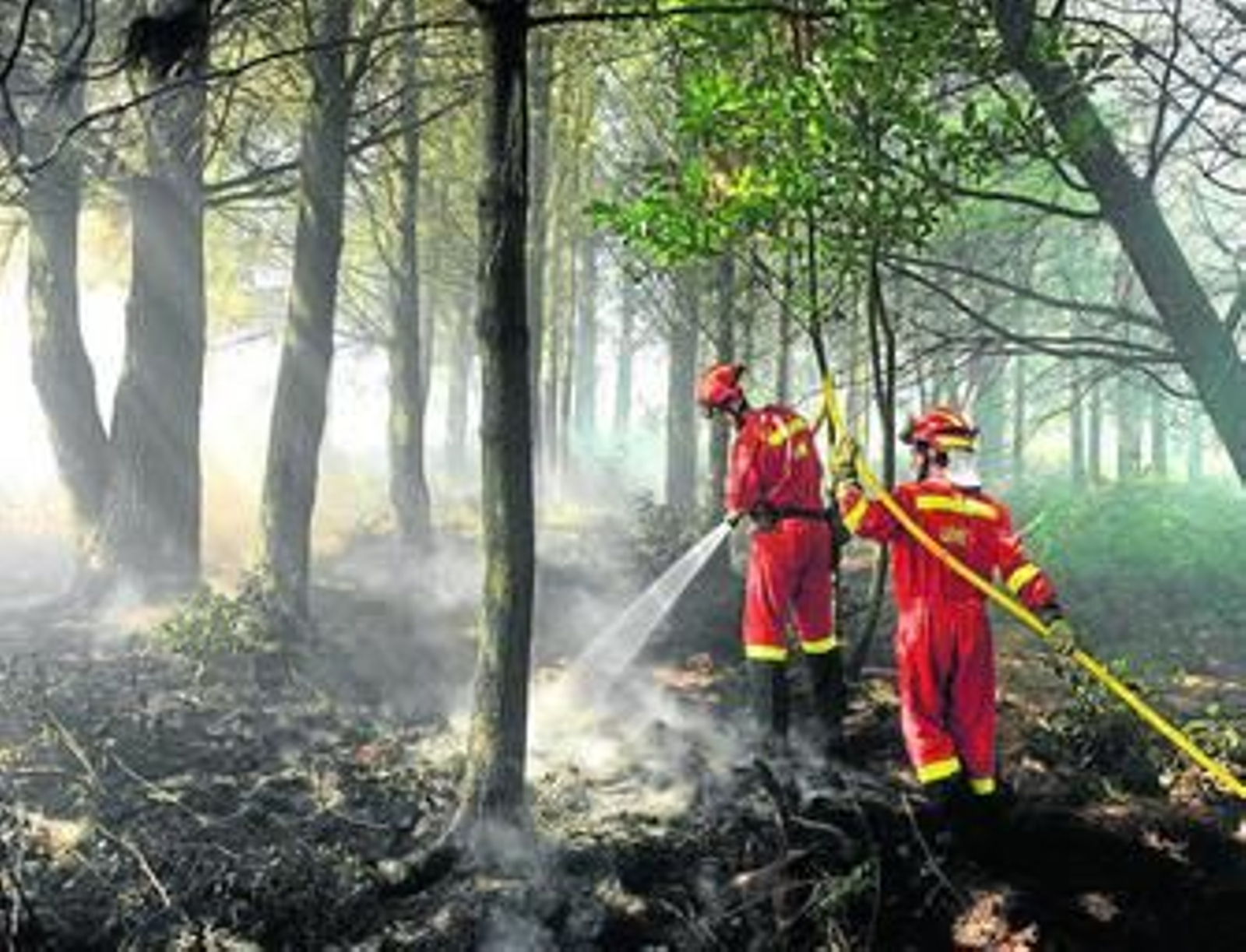 Efectivos de la Unidad Militar de Emergencias, en una intervención en territorio nacional.