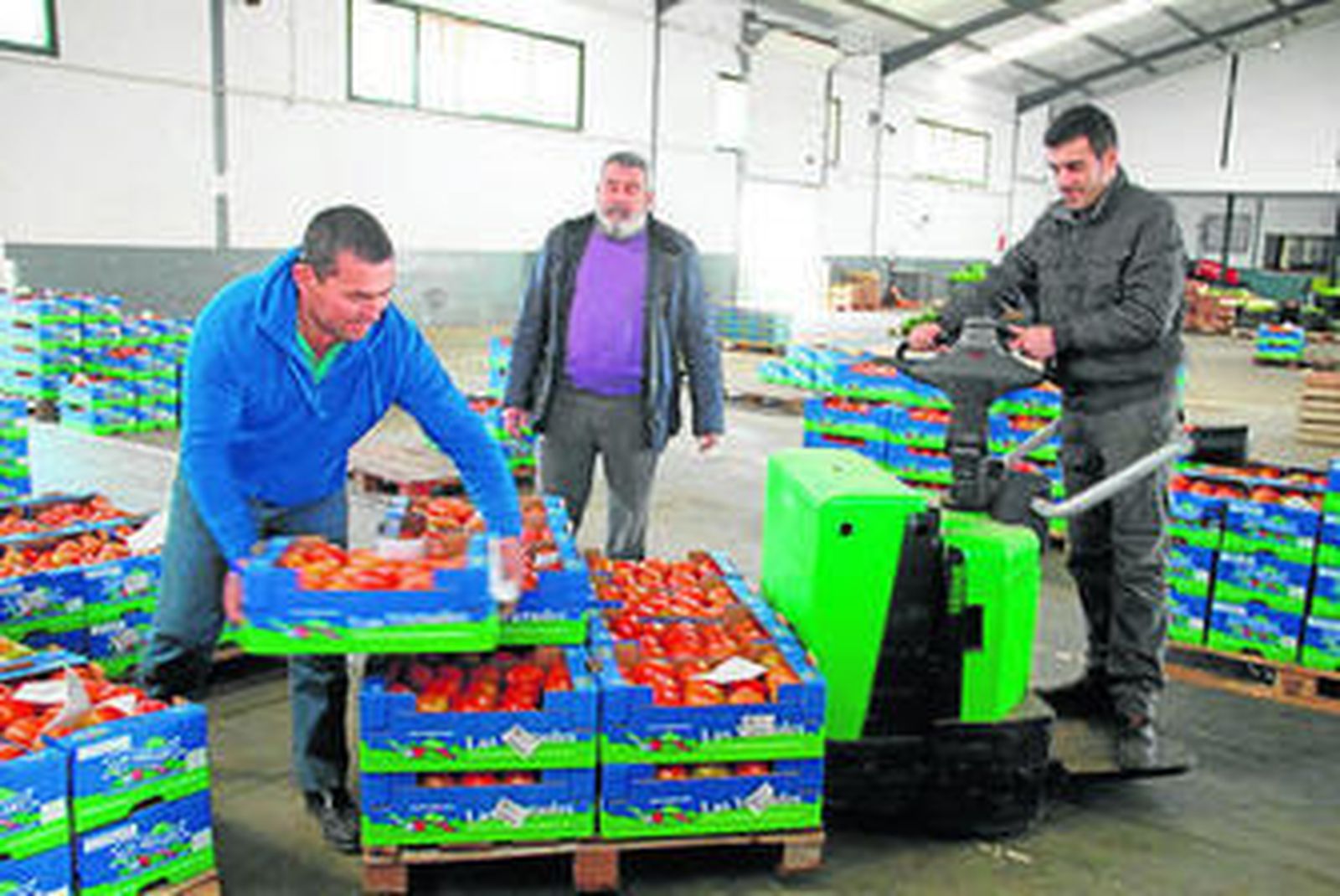 Preparación de las cajas de tomates para el Banco de Alimentos ayer.