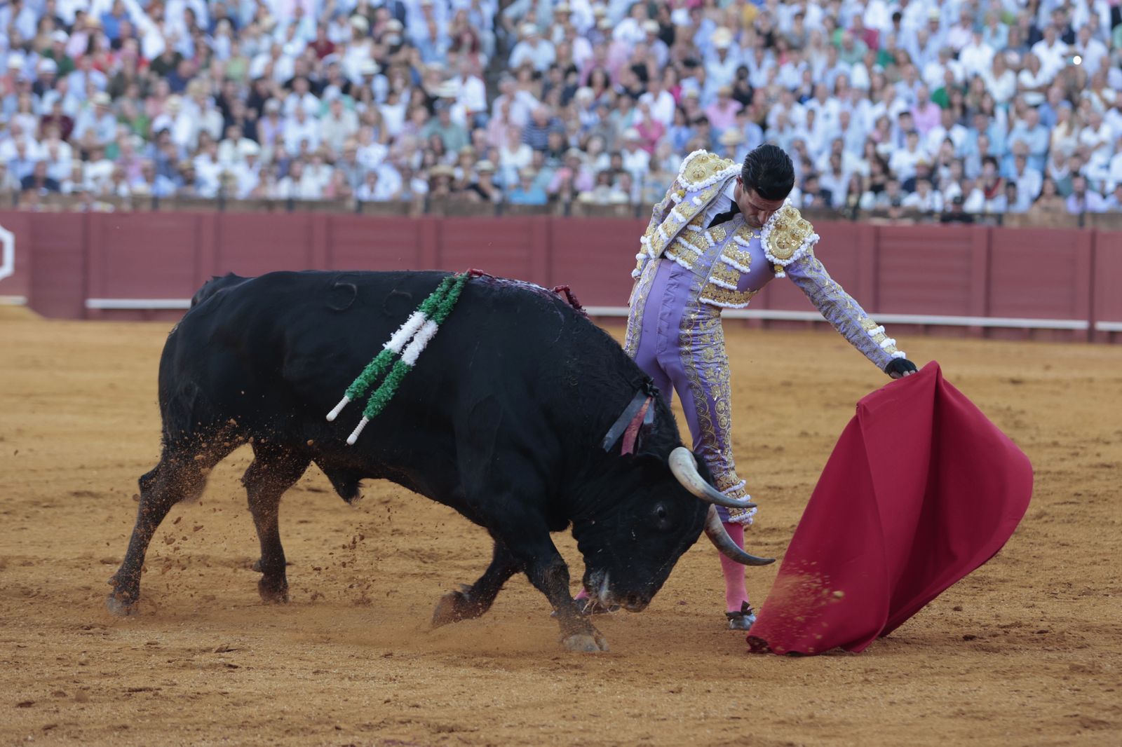 El triunfo de Castella en imágenes