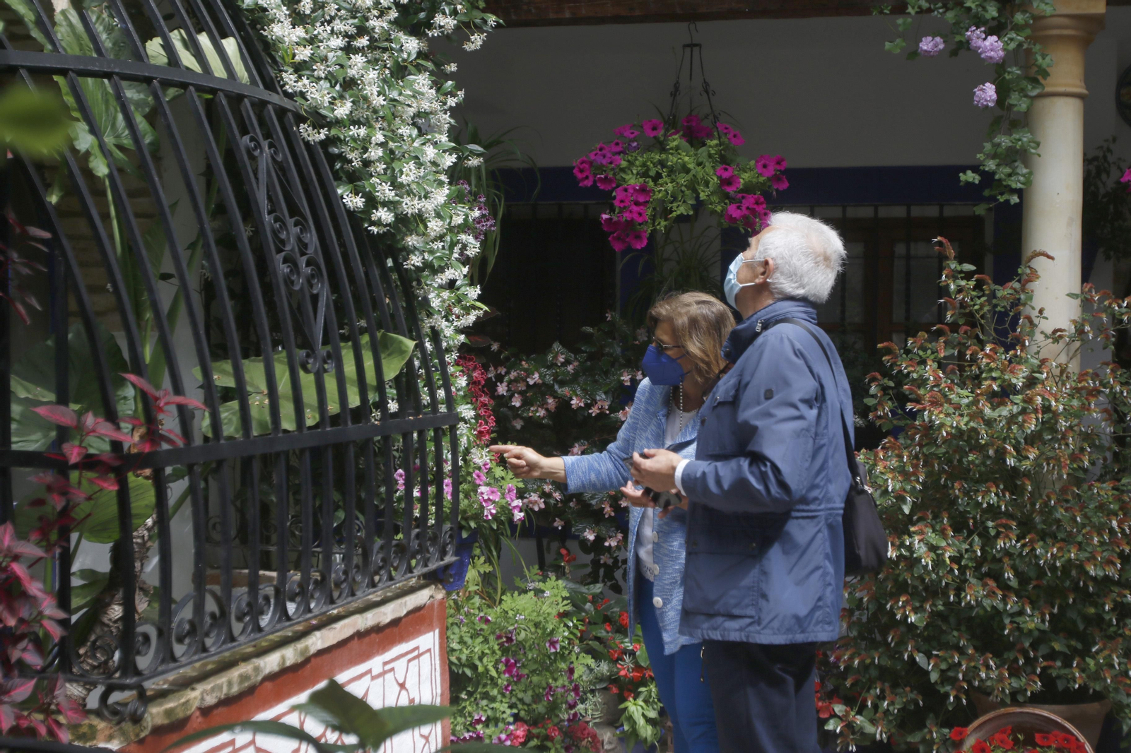 Ruta Santiago - San Pedro de los Patios de Córdoba, en imágenes