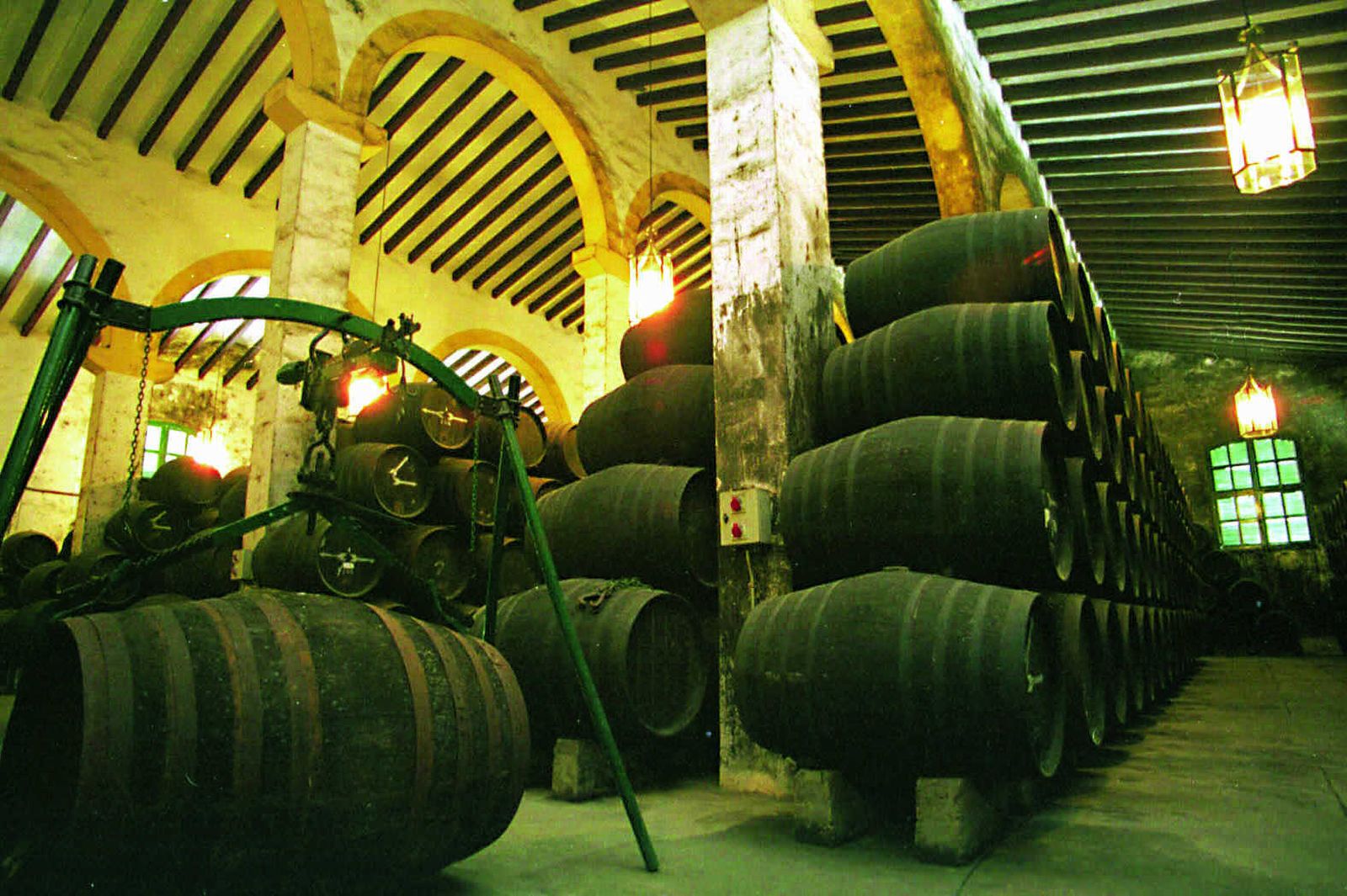 Las bodegas se preparan para retomar las visitas.