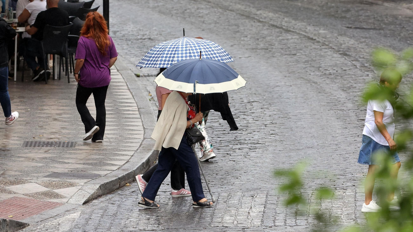 Las lluvias podrían regresar este domingo a Jerez