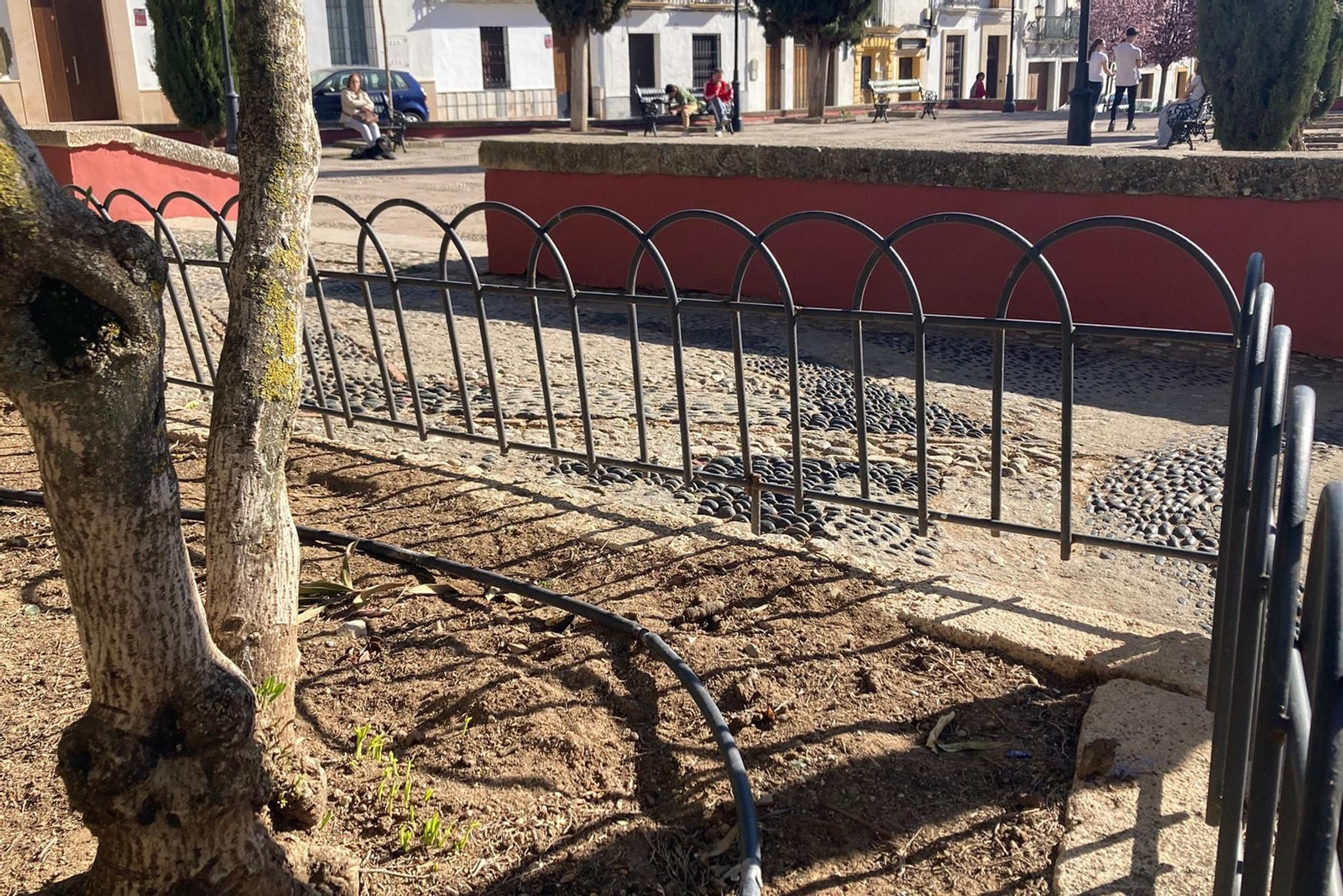 Los sistemas de riego también serán controlados para evitar fugas.