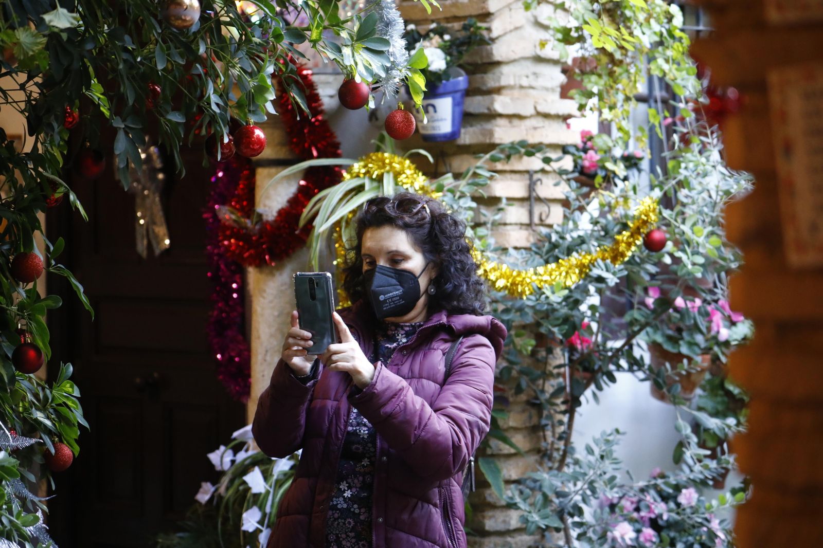 Las fotografías de los Patios de Córdoba en Navidad