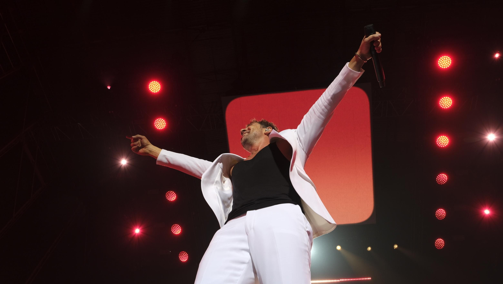 David Bisbal arrasa en su concierto de Roquetas de Mar